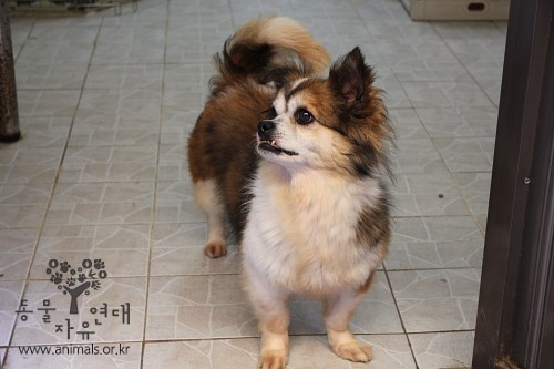 한솔니임~~~