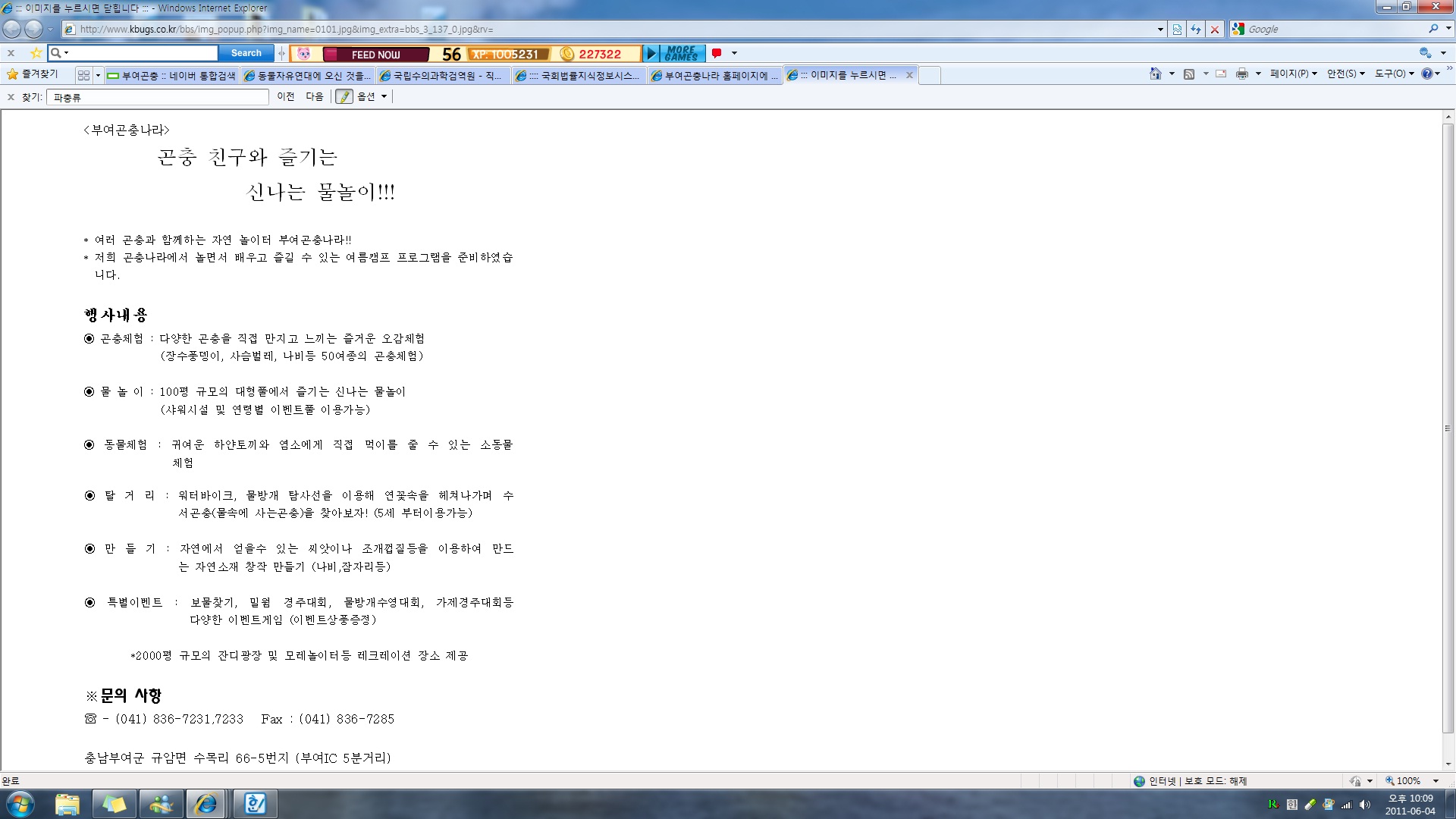 부여 곤충 체험 ......