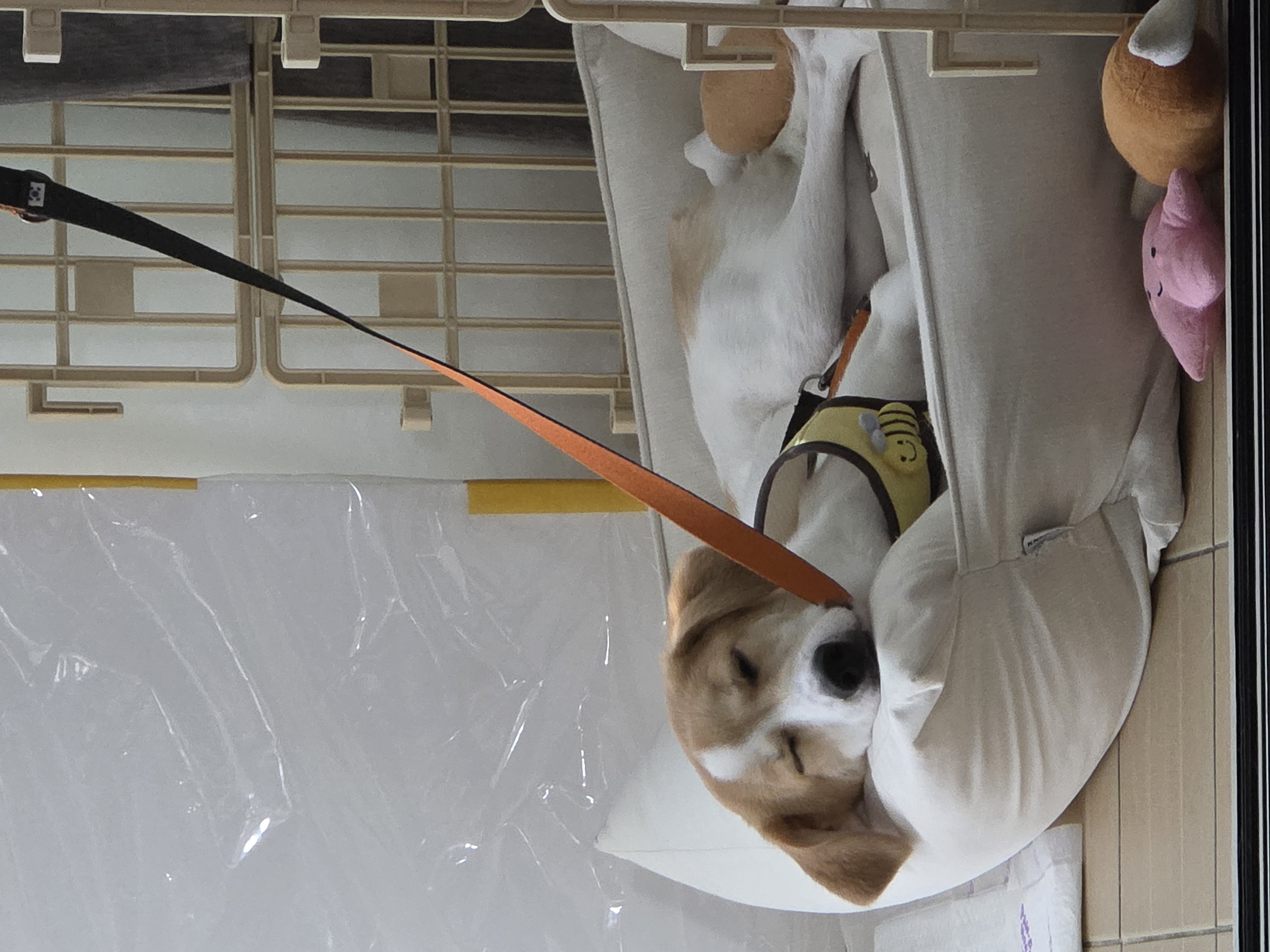 모디 일상을 공유해드려요