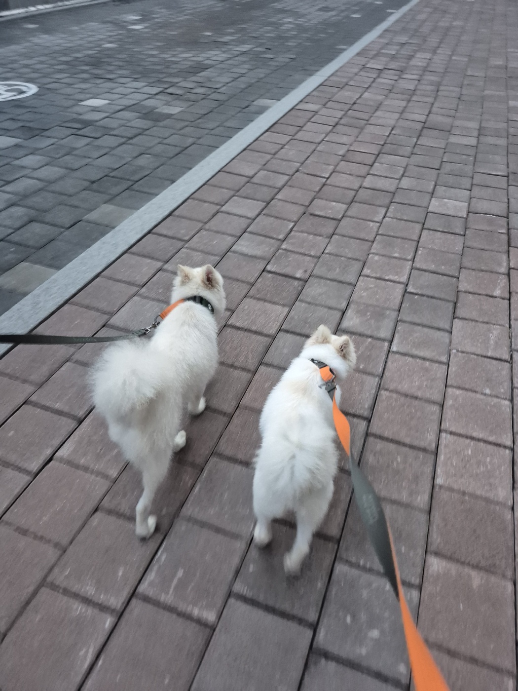 다람이 + 리유 = 행복♡