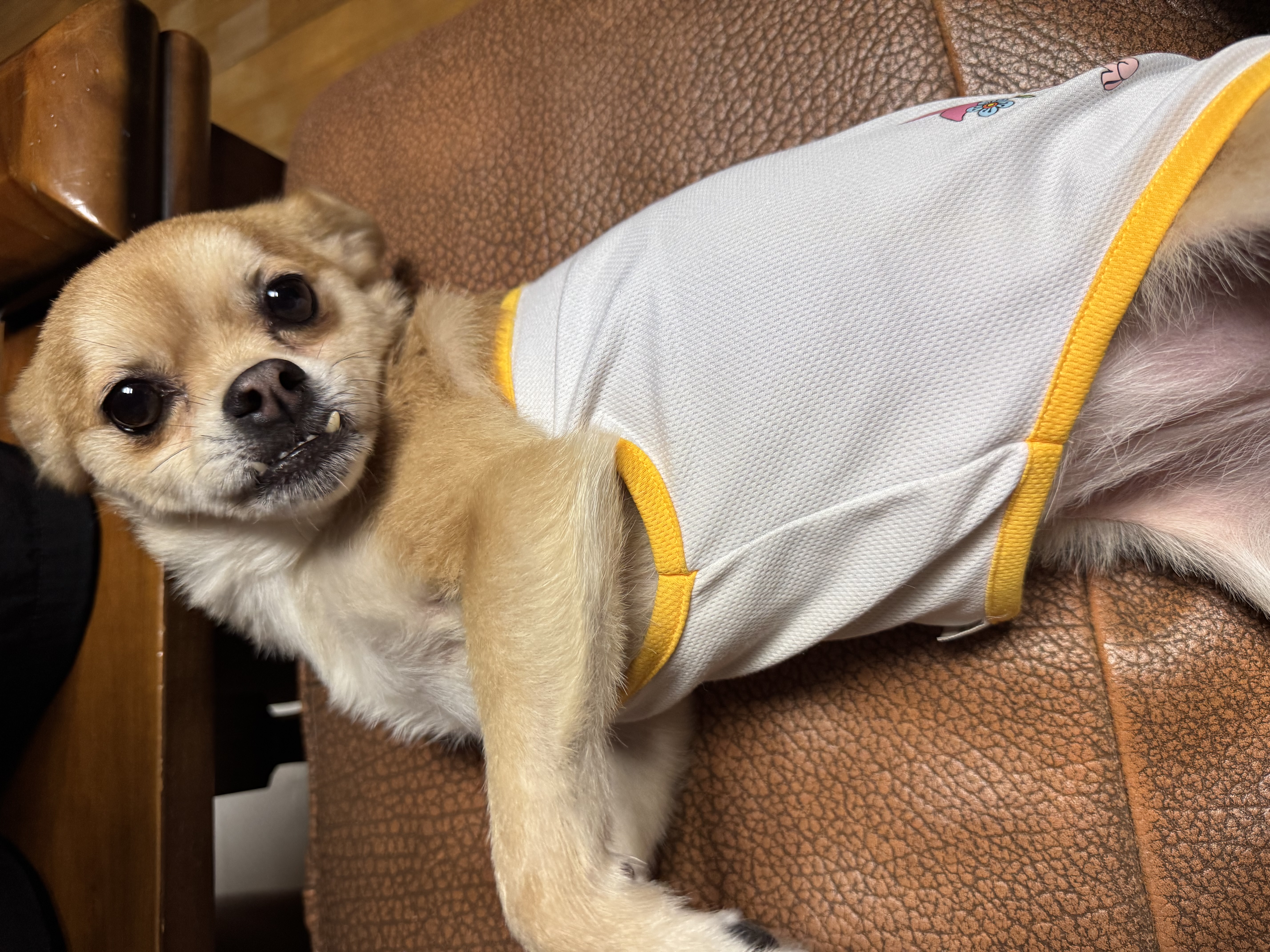 미로(구 오원) 3년 이야기