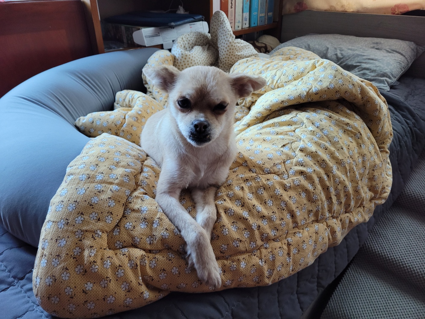 미로(구 오원) 3년 이야기