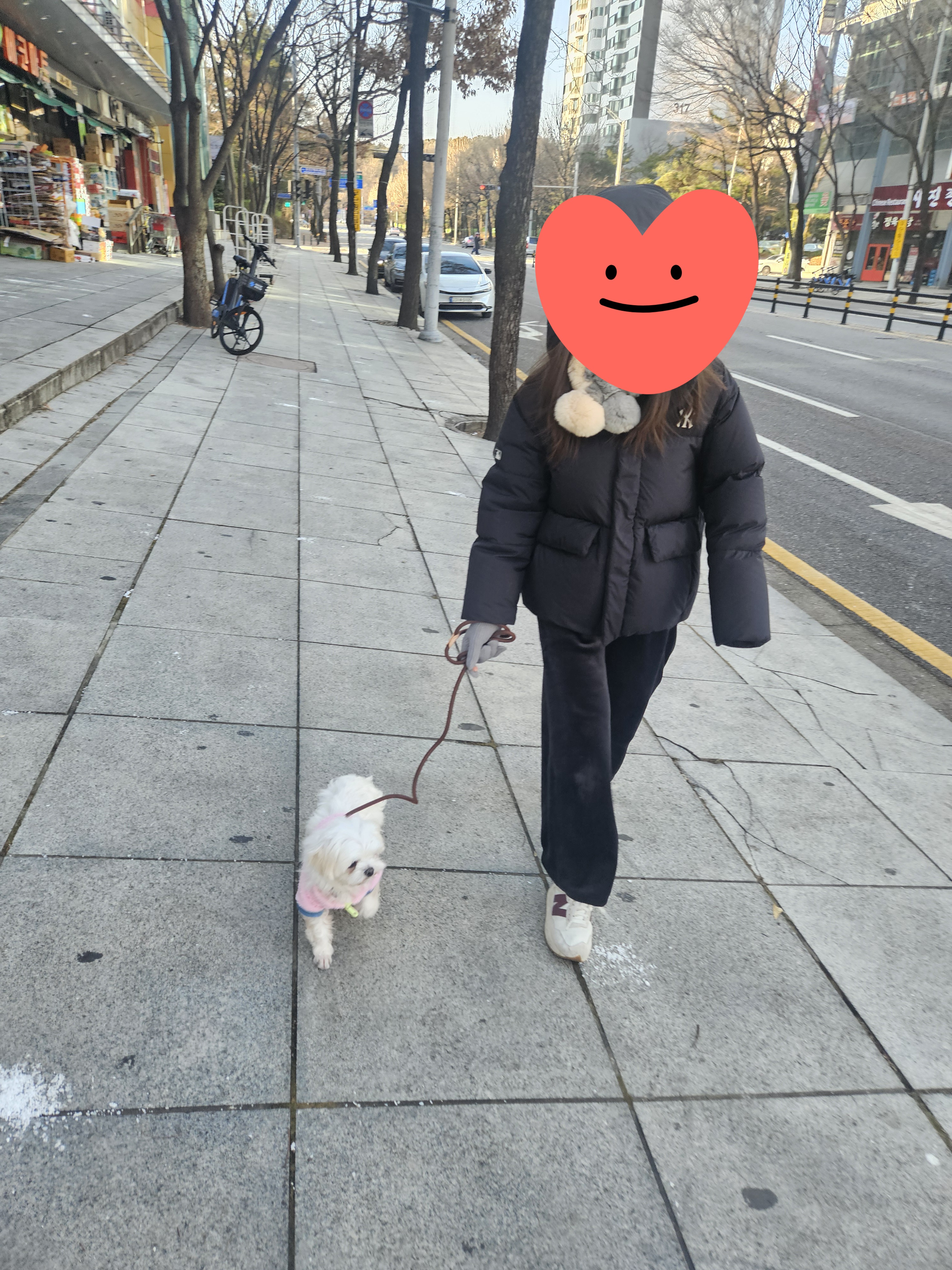 조리 임보 7일차