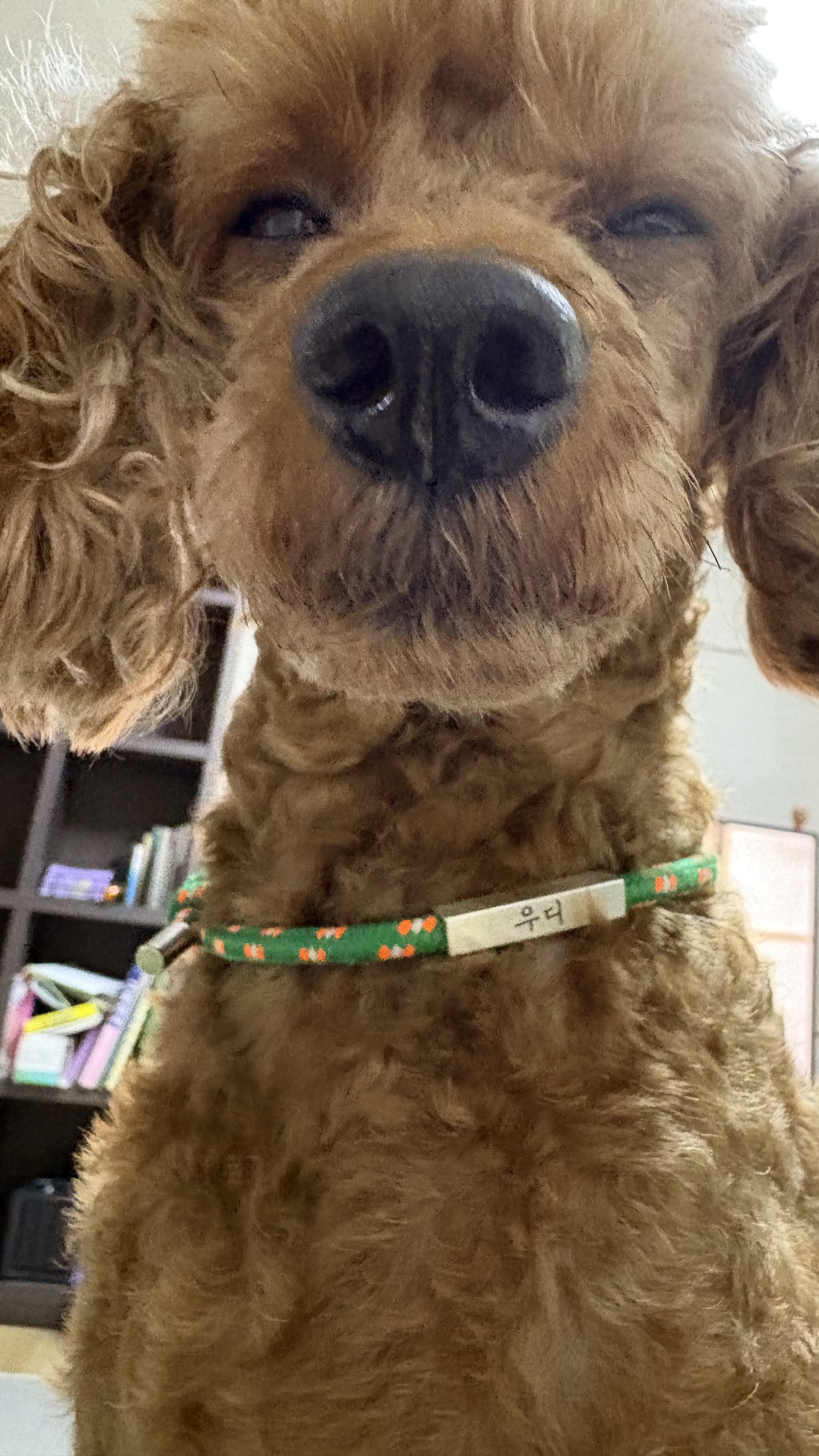 보사의 3개월 후기 