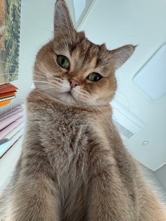 두두 (구 삼월이) 3개월 후기 🧡