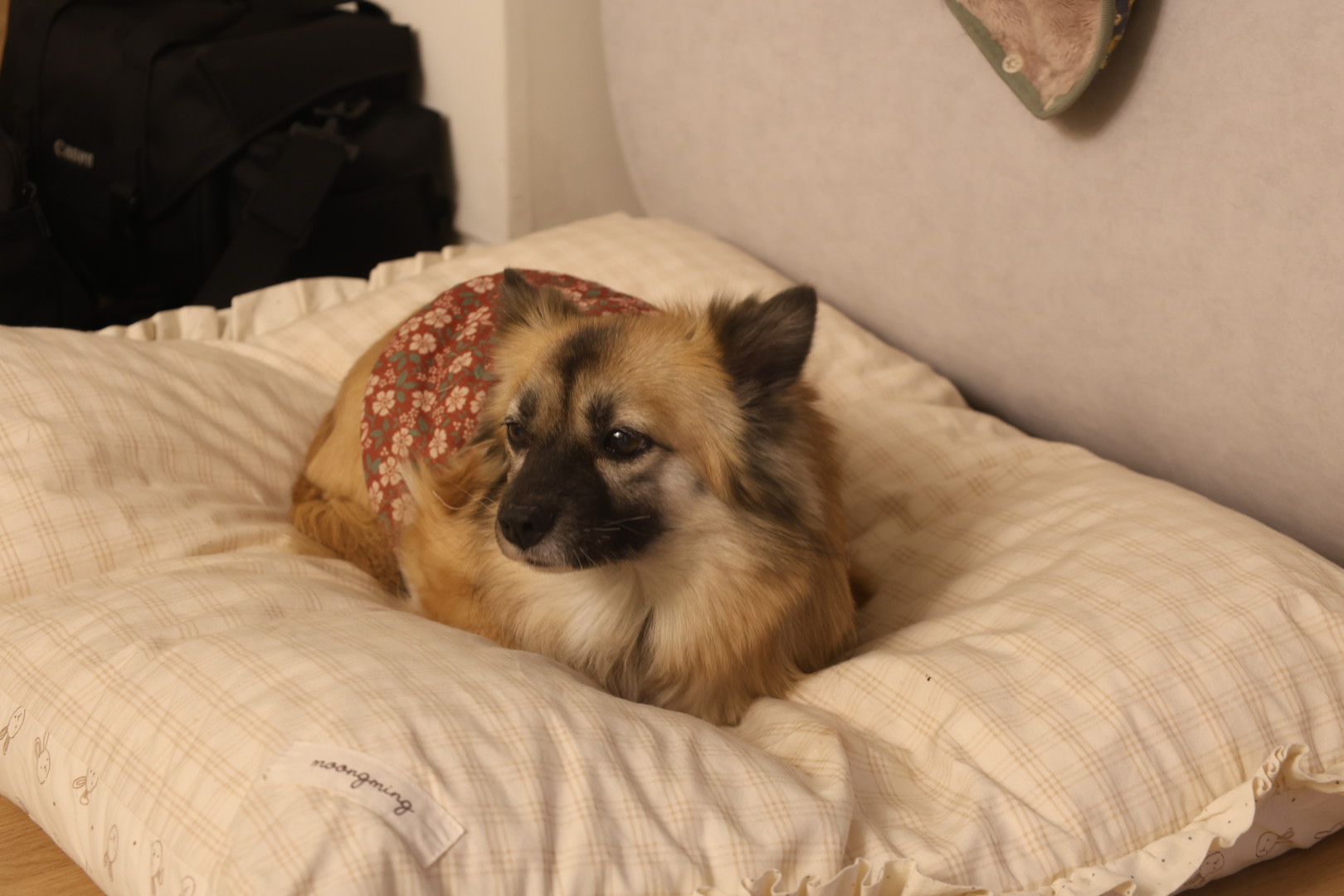 반달이 케일이 경주여행