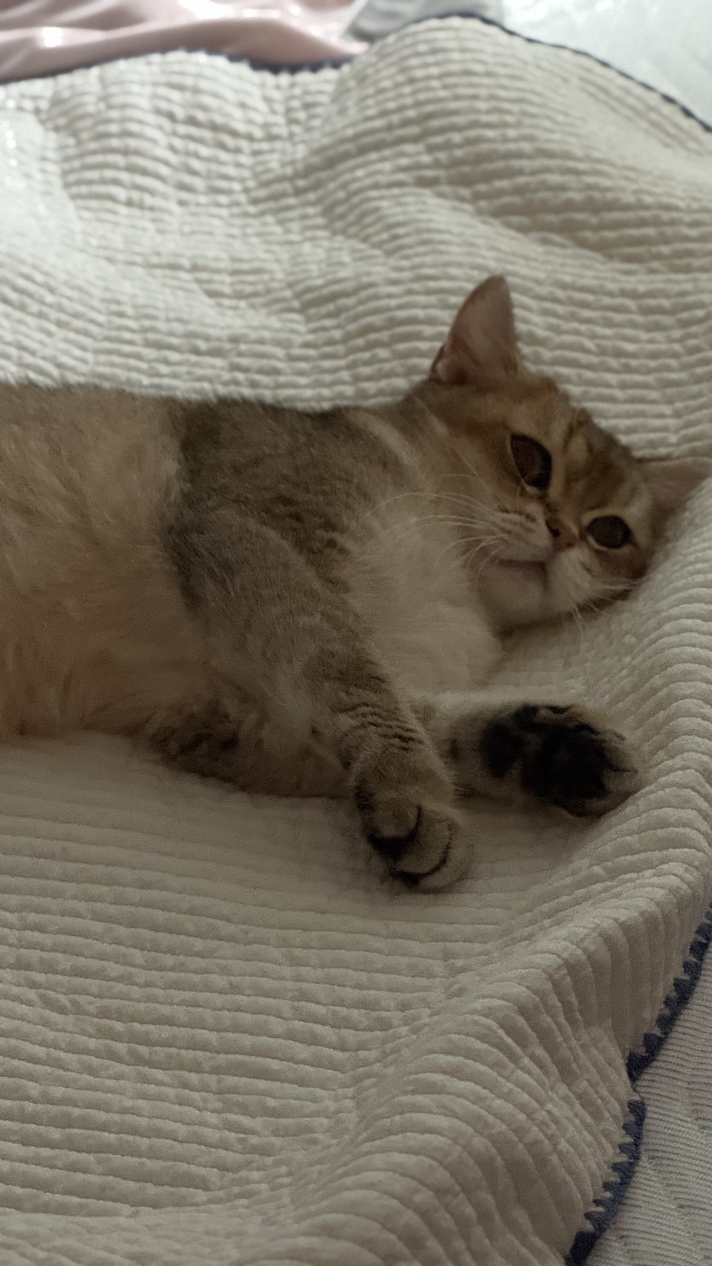 열매(구 사월이) 세 달 후기