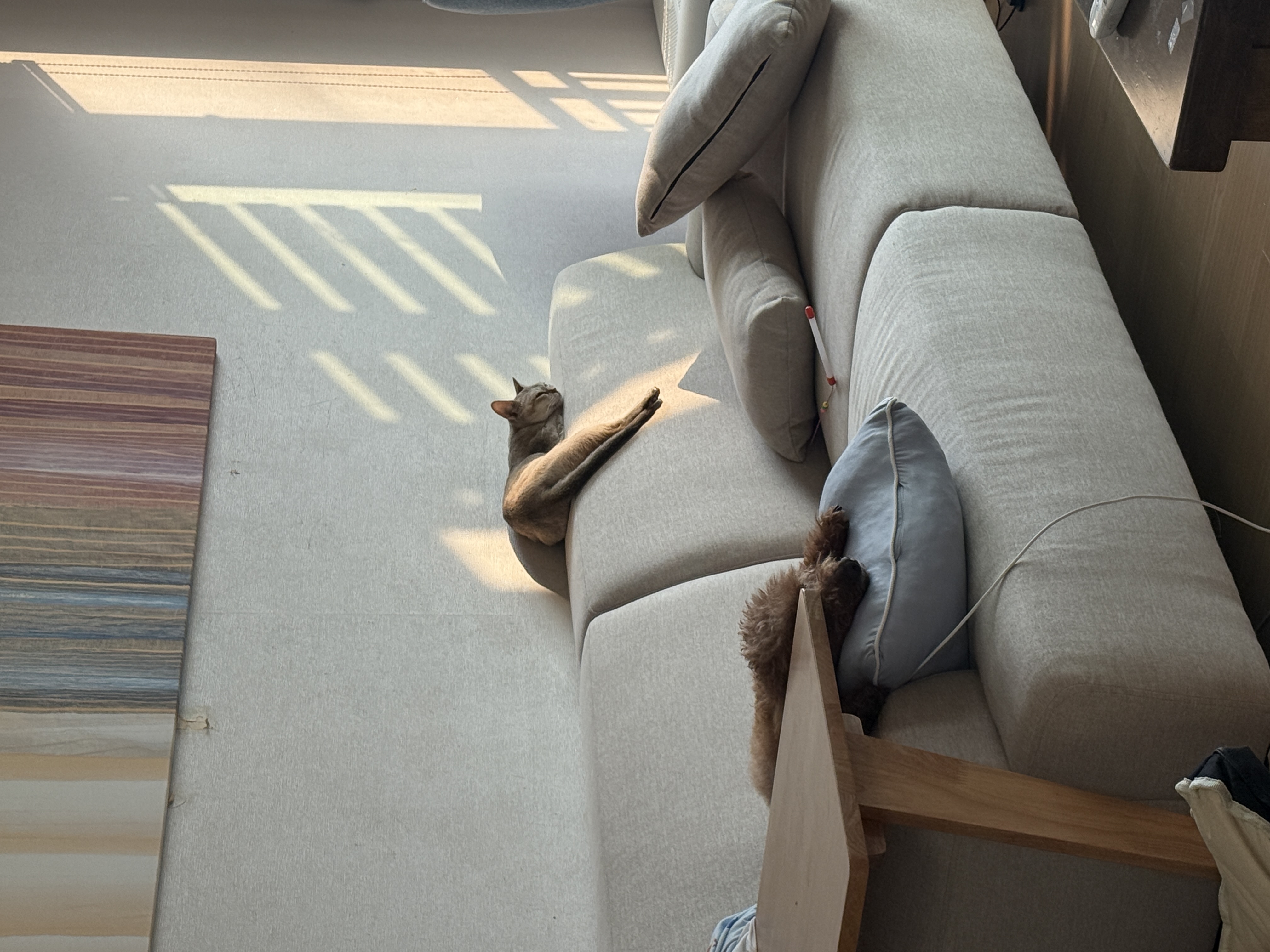 또봉이&#40;이요&#41;3개월 후기