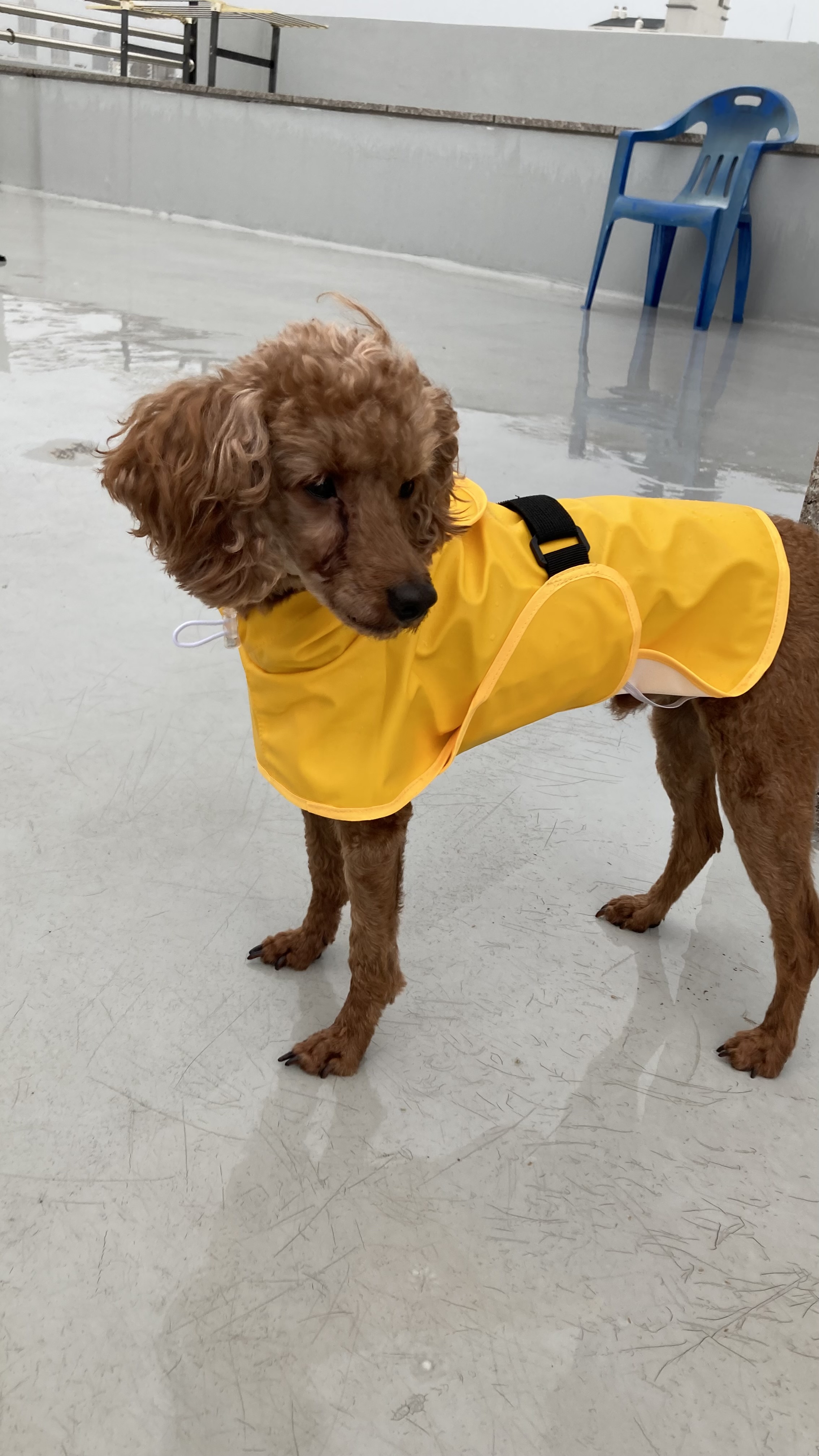 보사의 3개월 후기 