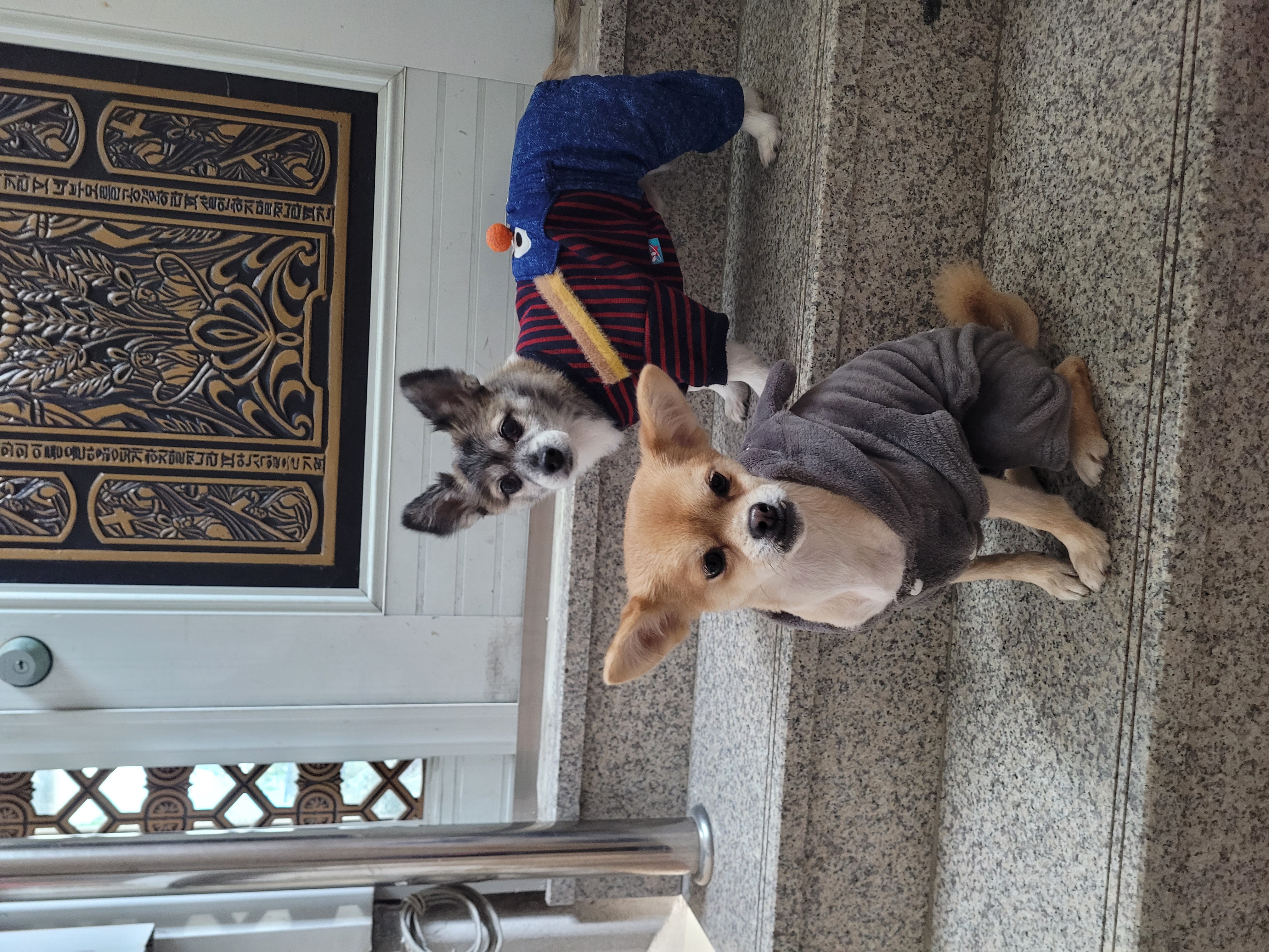 미로(구 오원) 3년 이야기