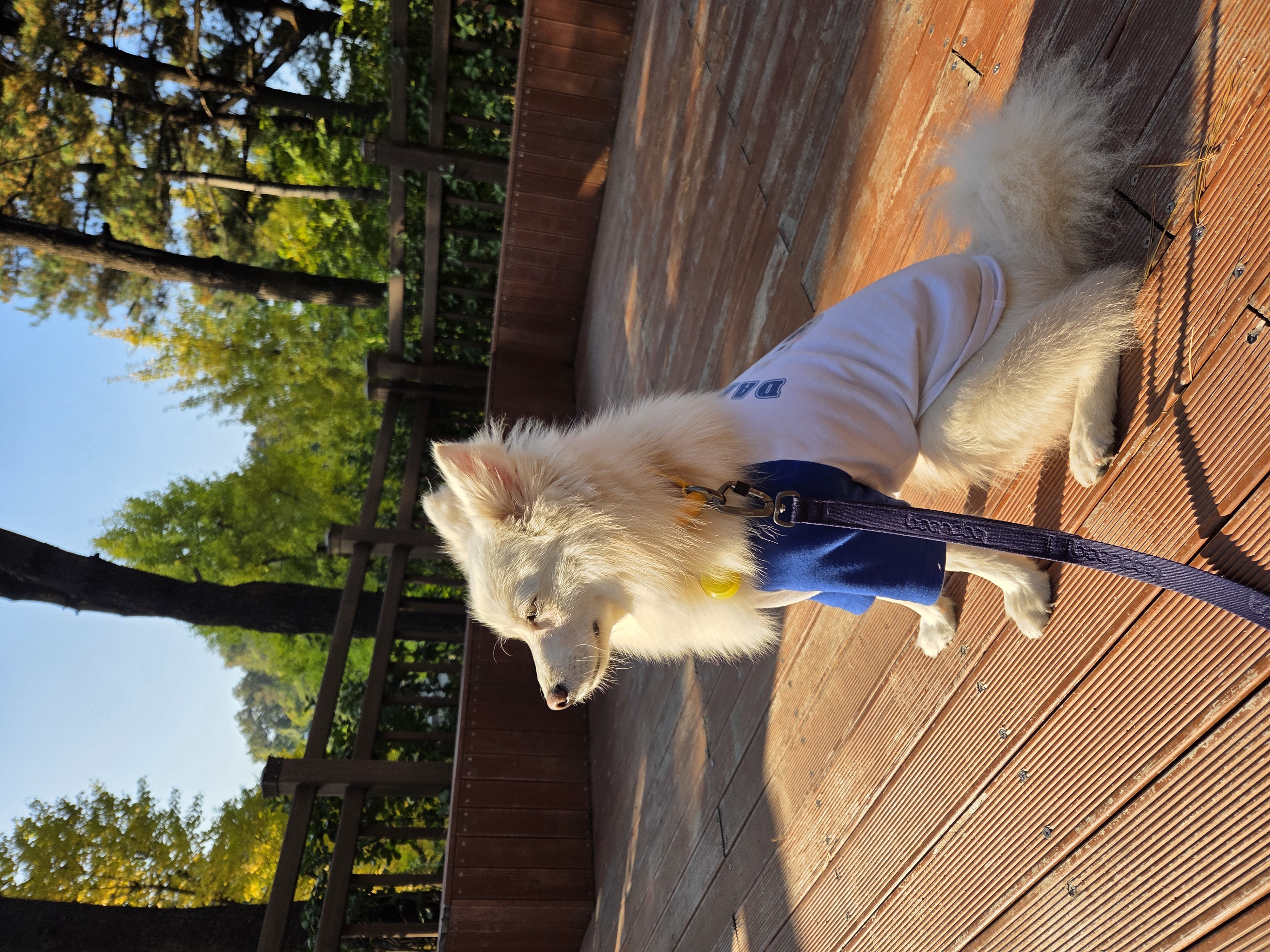 다람이+리유=🤍