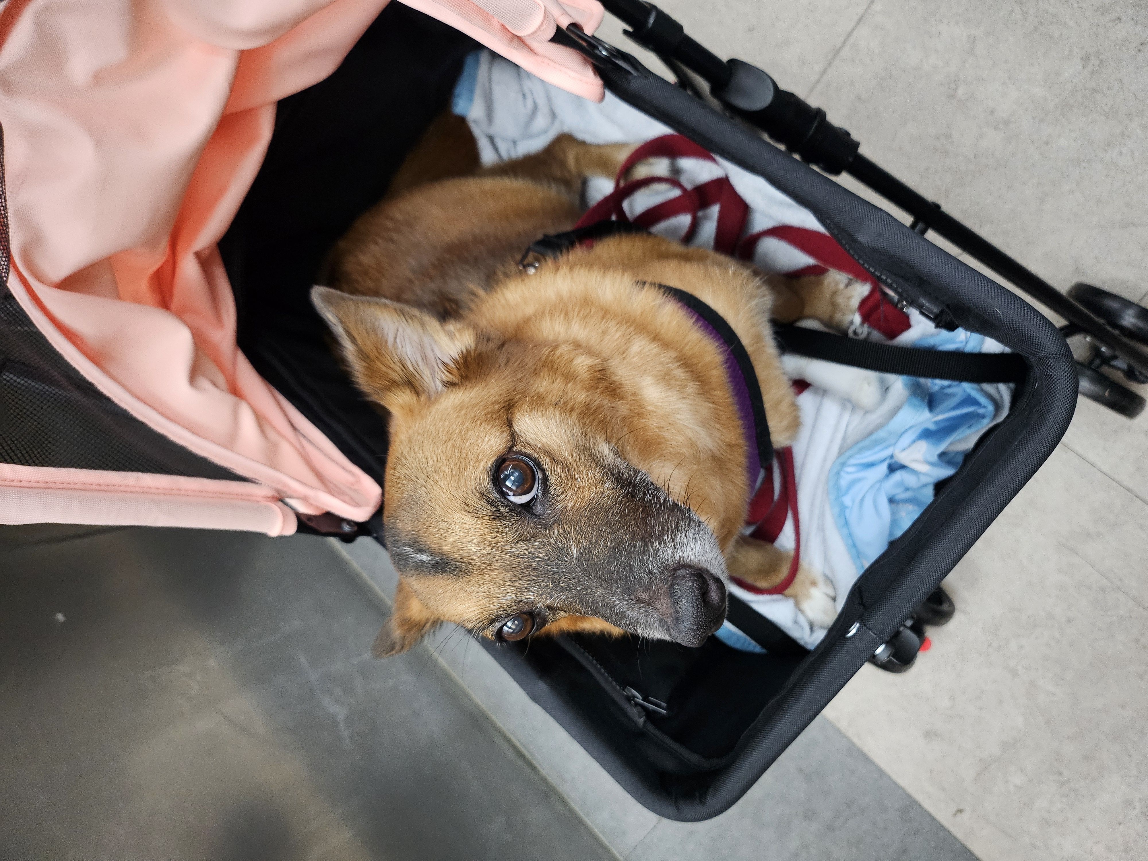 리카 새해인사드립니다.