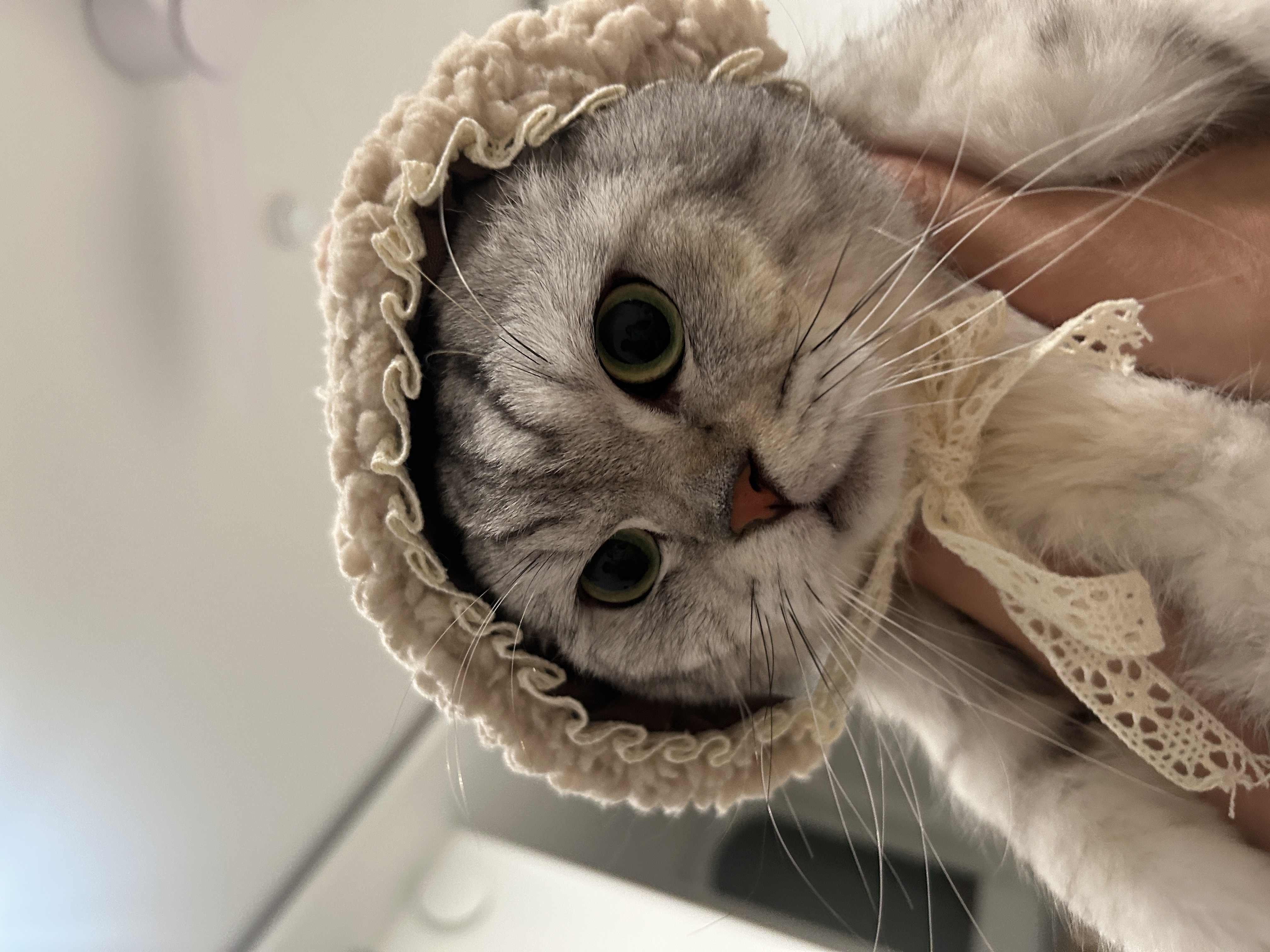 동엽이(행운이),살랑이(루리) 같이 지낸지 2년째