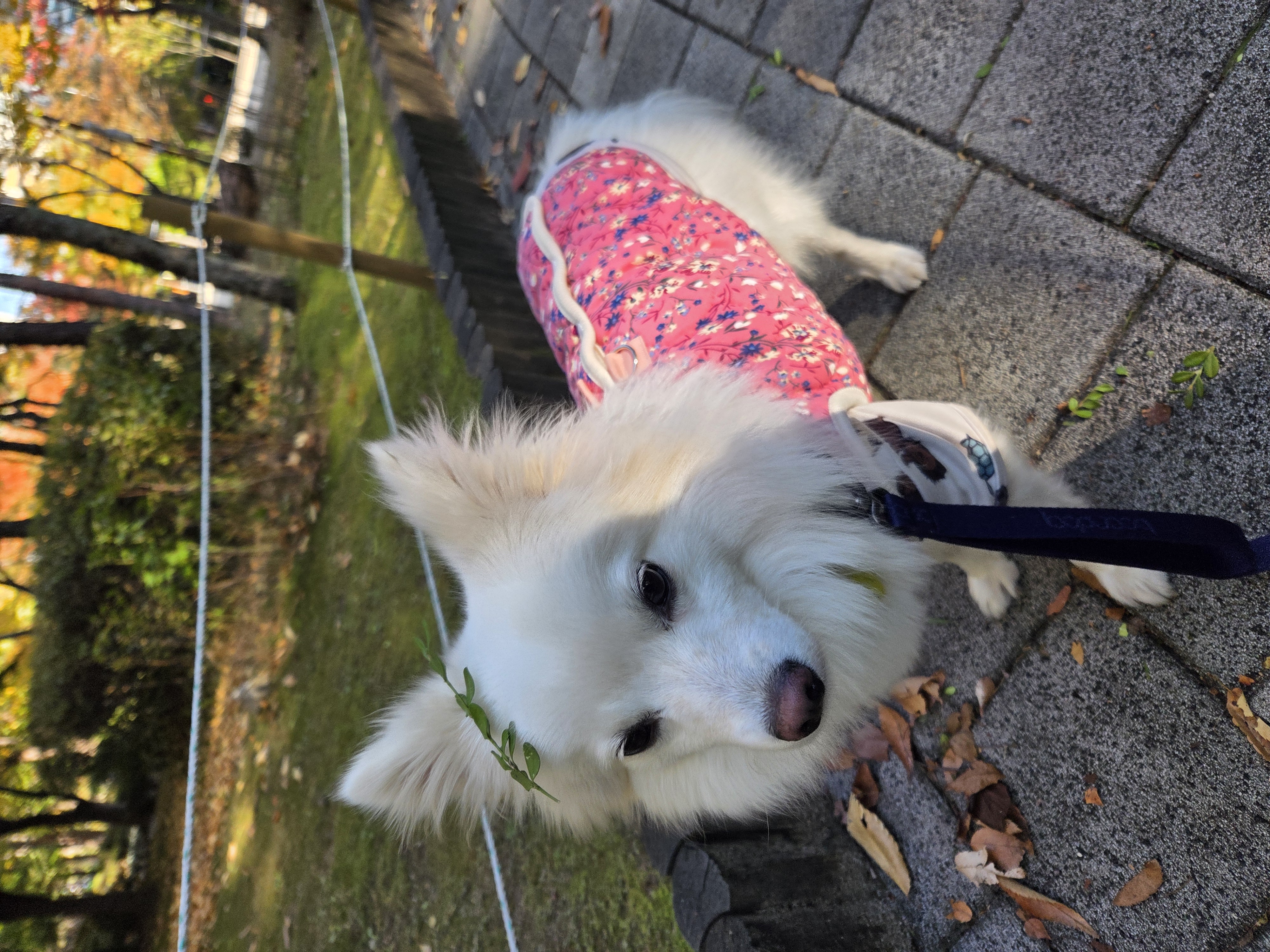 다람이+리유=🤍