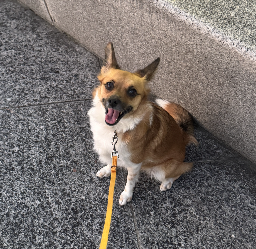 보나(은일이) 5주년