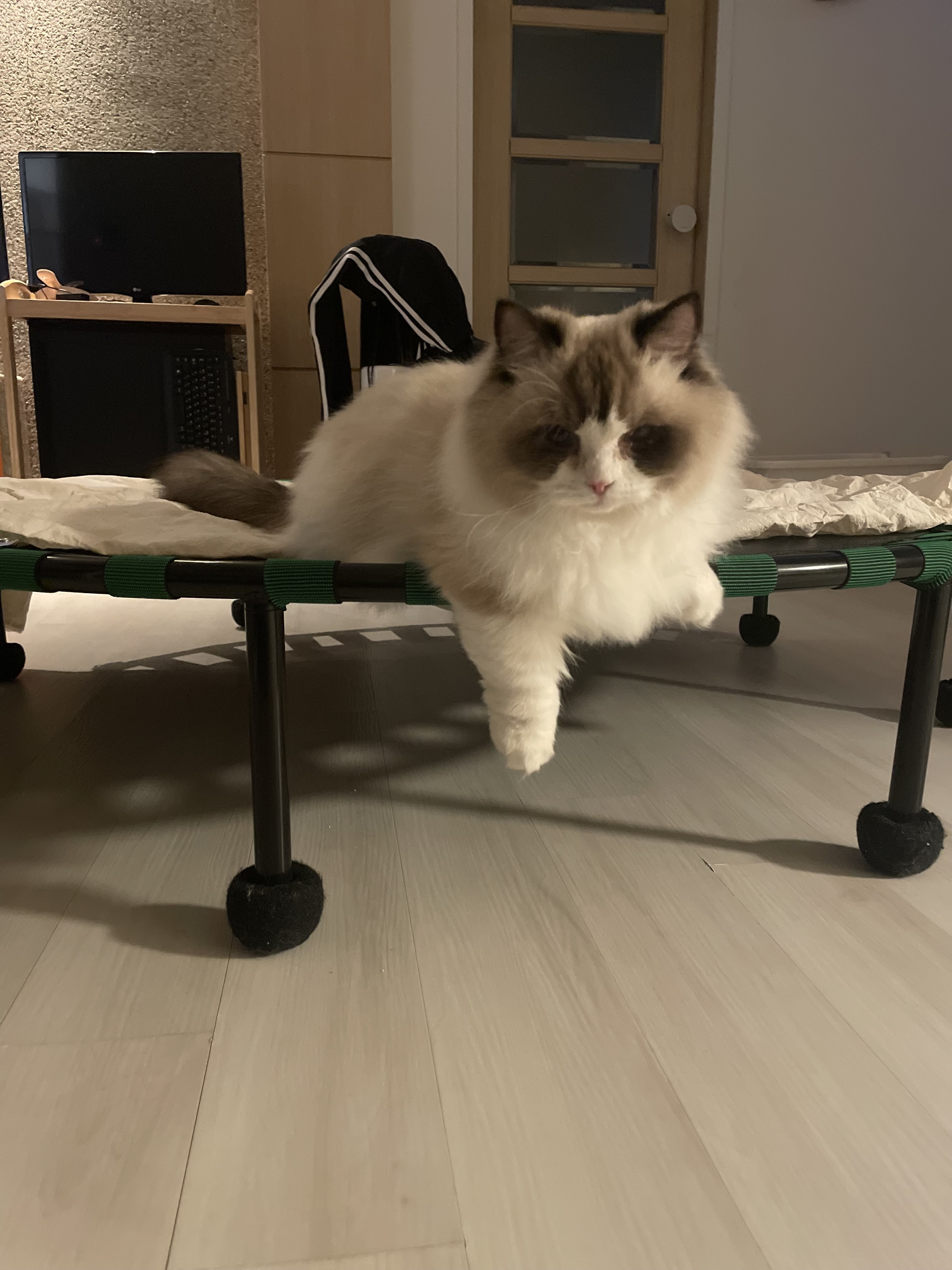 춘식(구 마루미) 1개월차