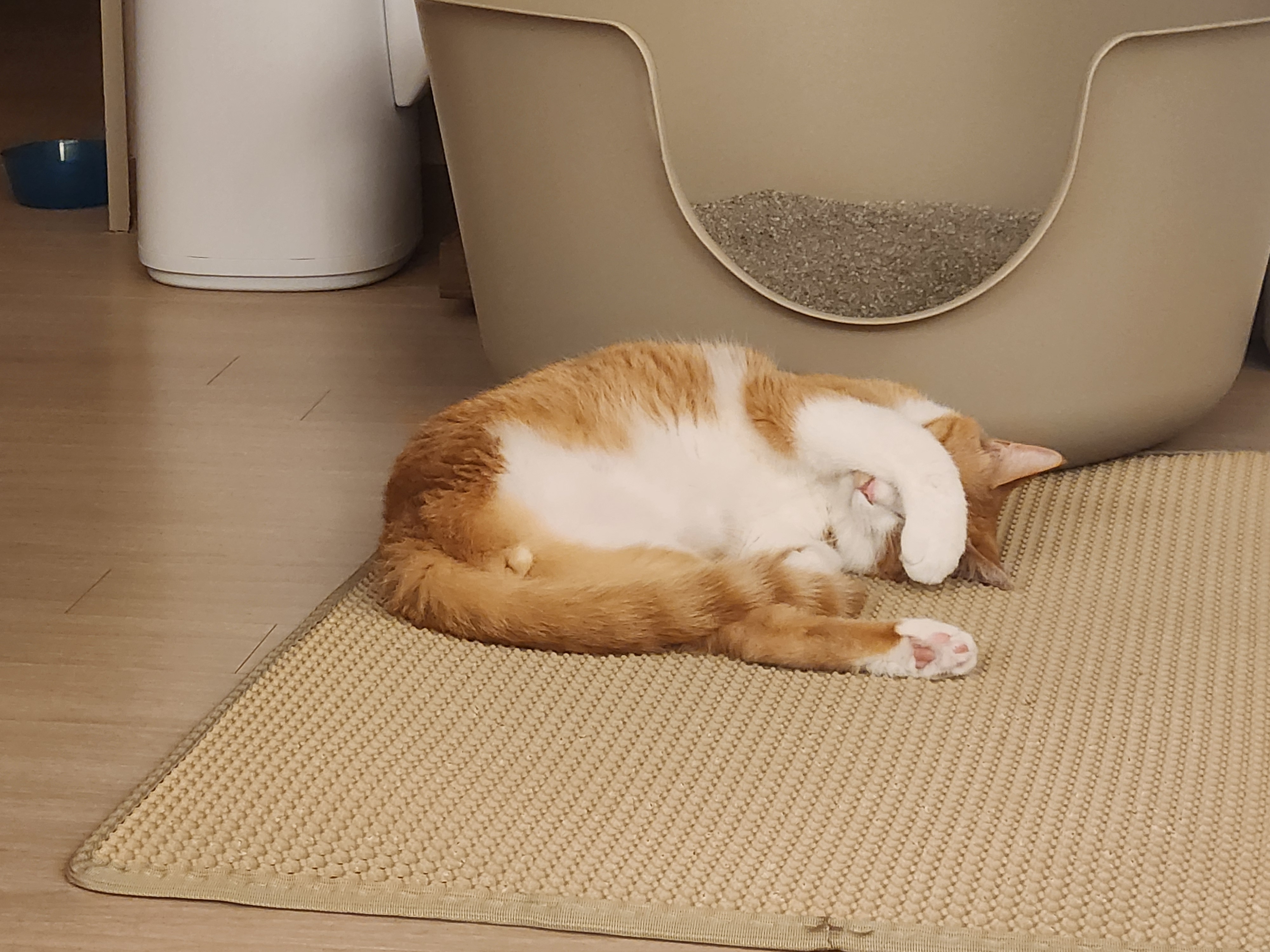 오들이와 함께한 3달 