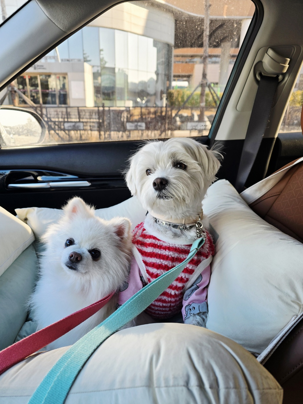 햇밤이와의 우리 세가족 이야기