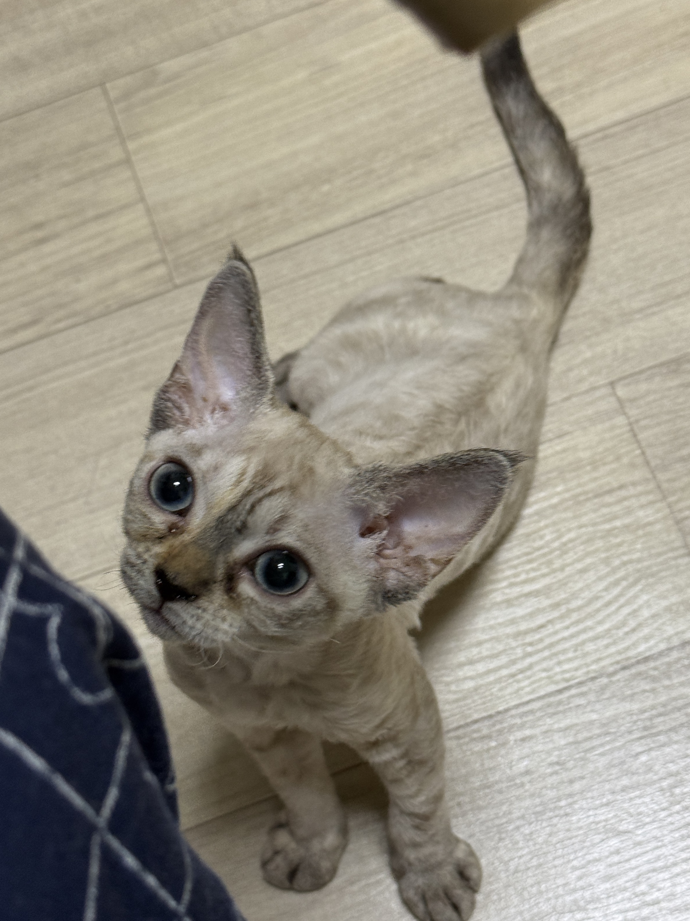 김새로(던회)와 함께한 일주일차