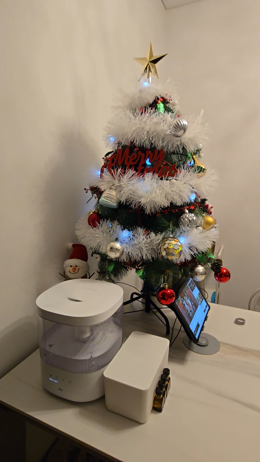 미야오(마시) 동자연에 활동가분들과 동물친구들 메리크리스마스♡