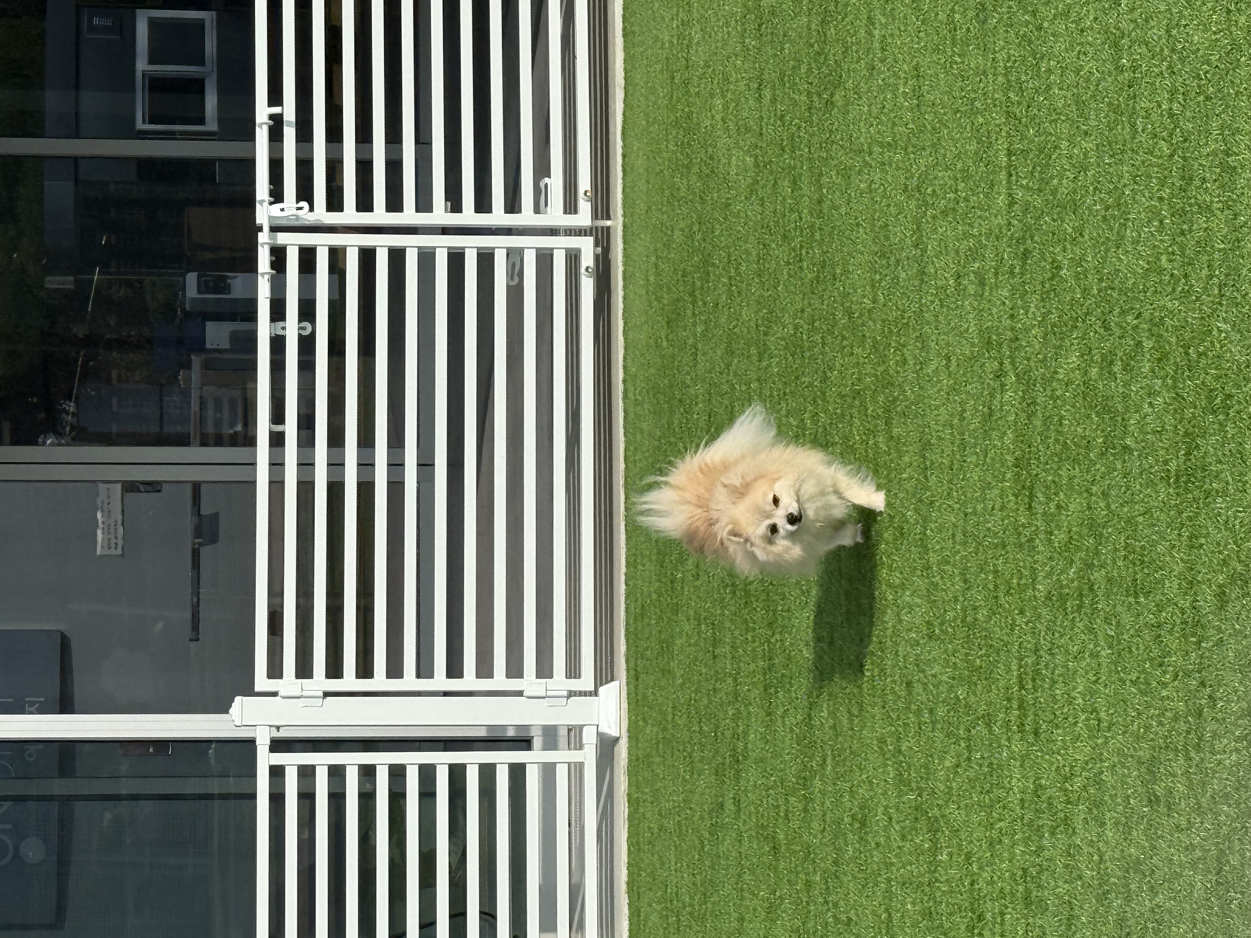 따봉(구 포키)이의 2025년