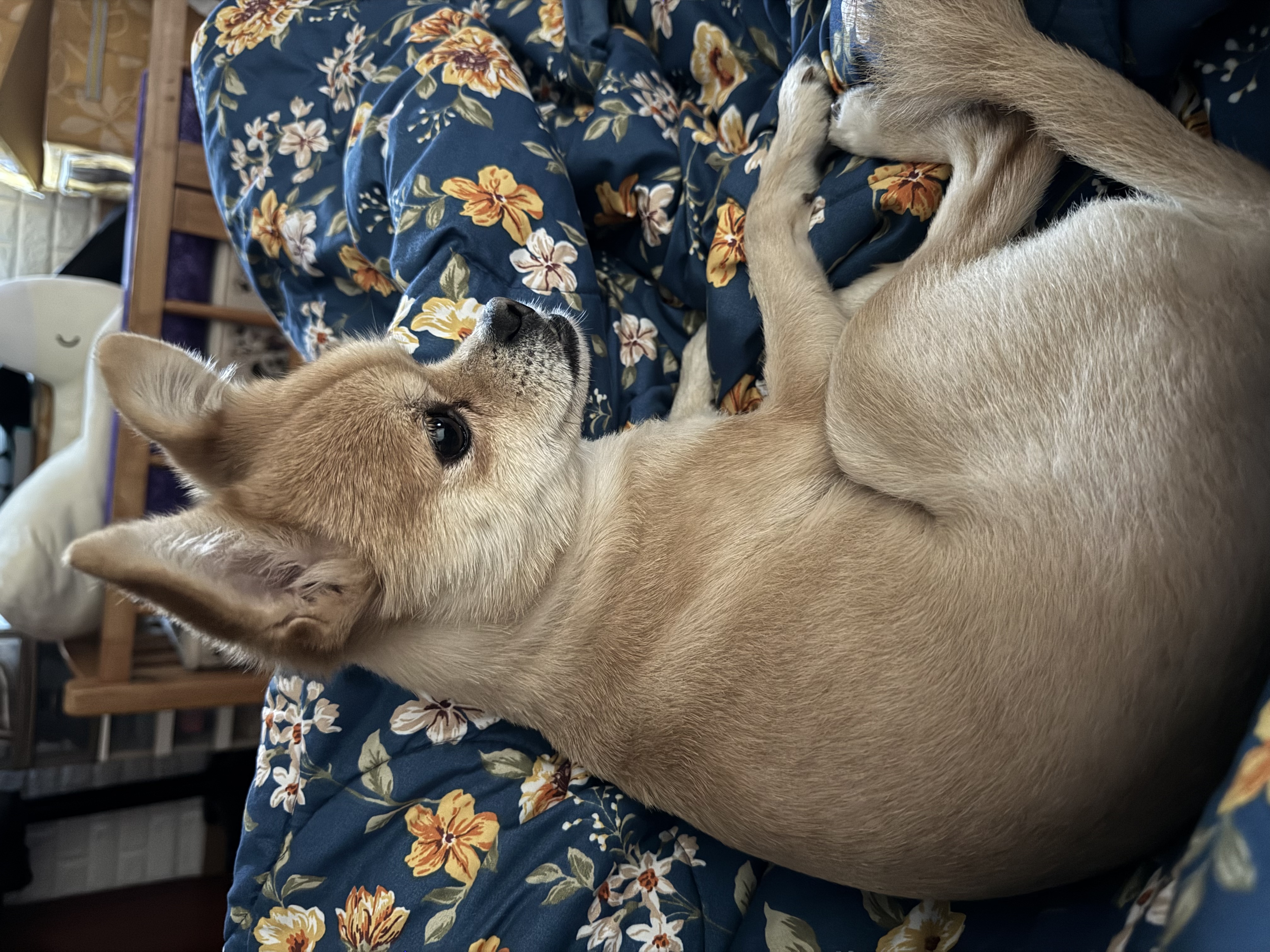 미로(구 오원) 3년 이야기