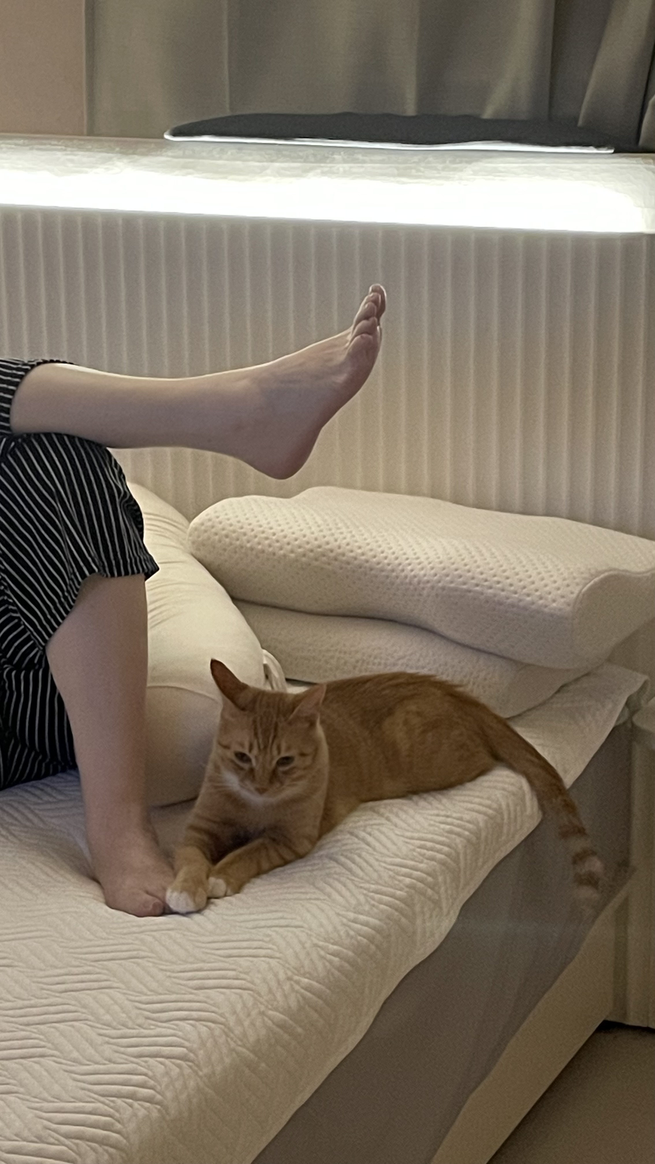 다해(현재 금비) 한달 후기