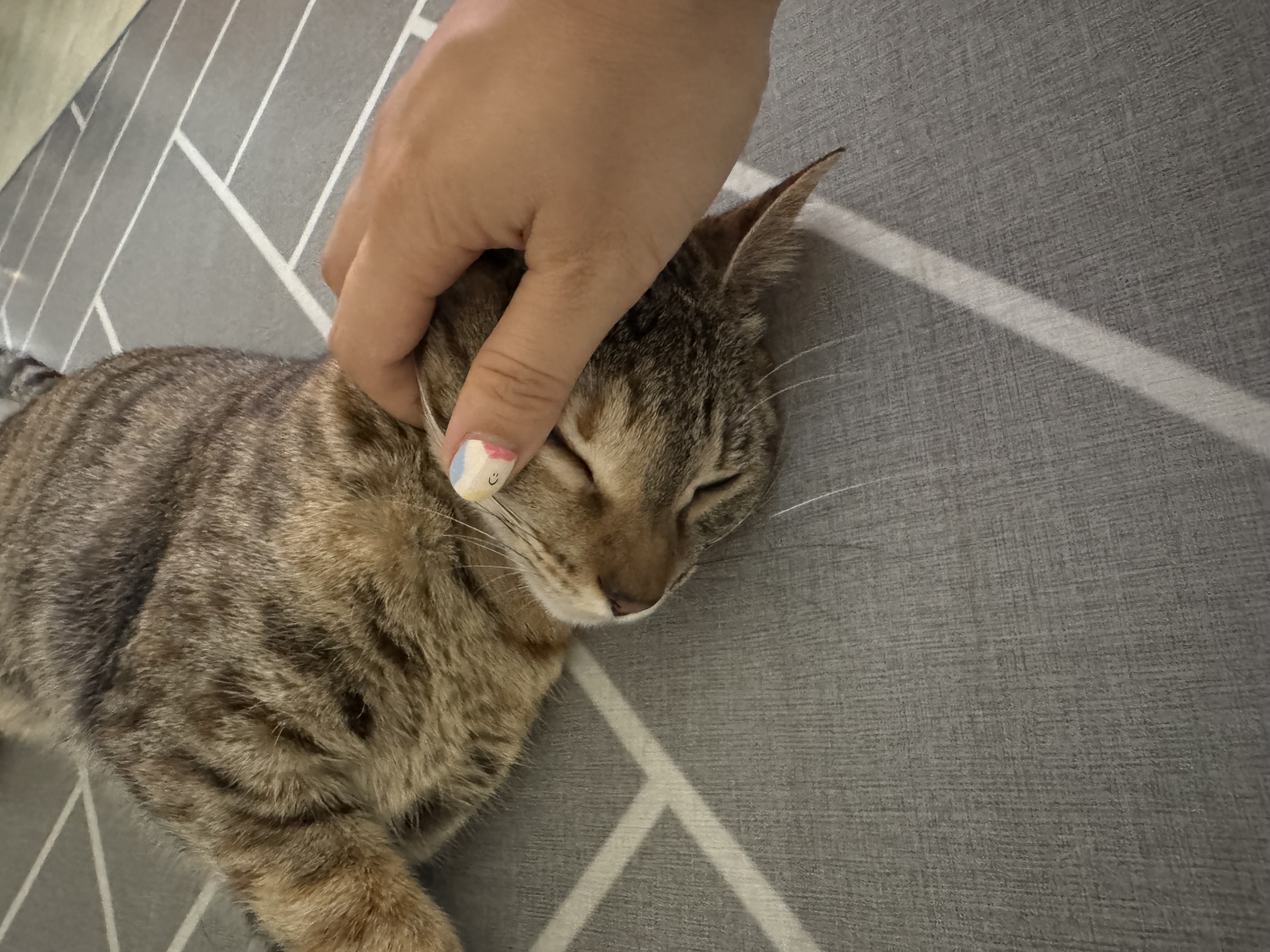 하피 (구 블랑이) 만난지  일년