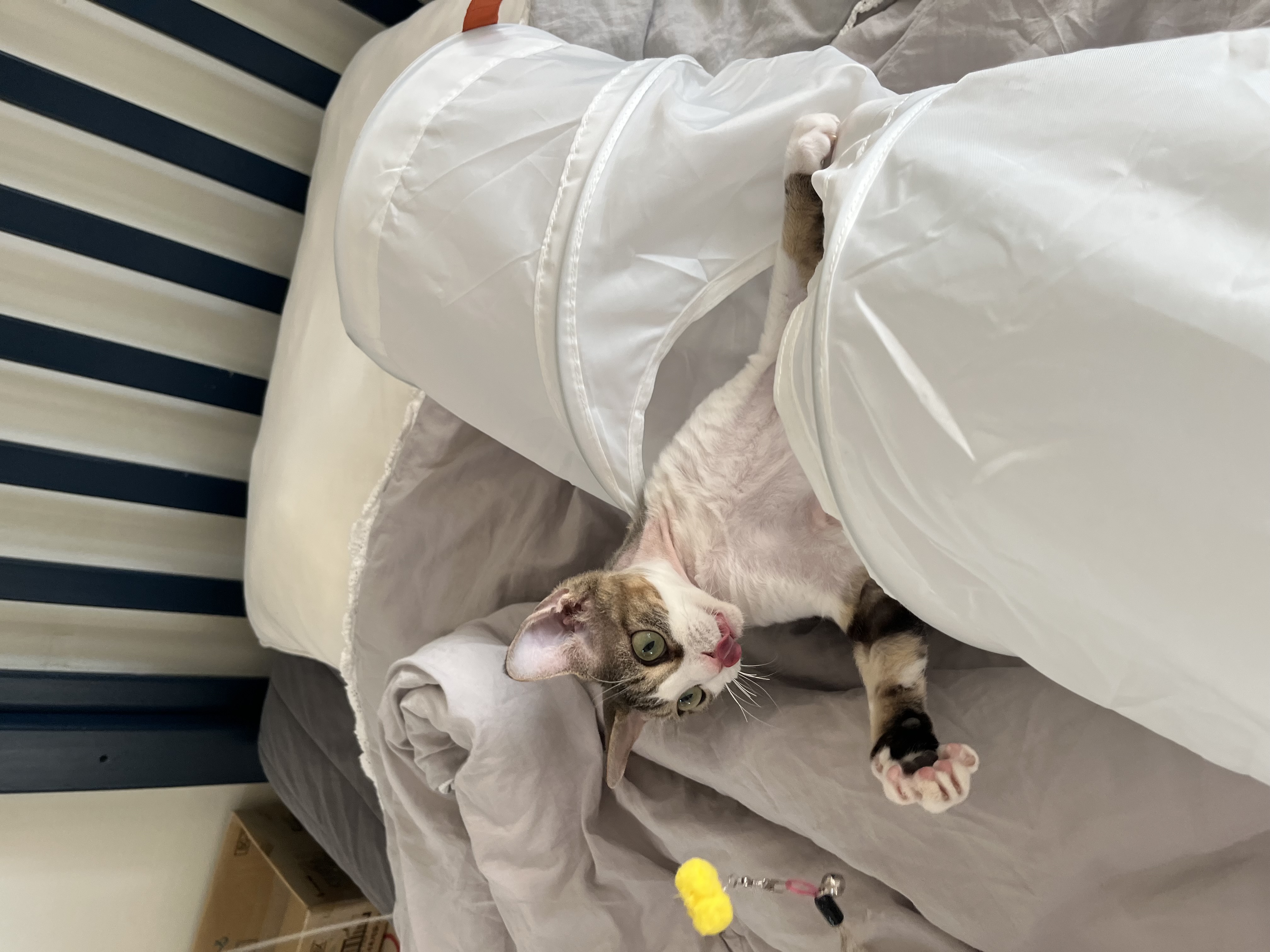 머루(까까)와 함께한 세달