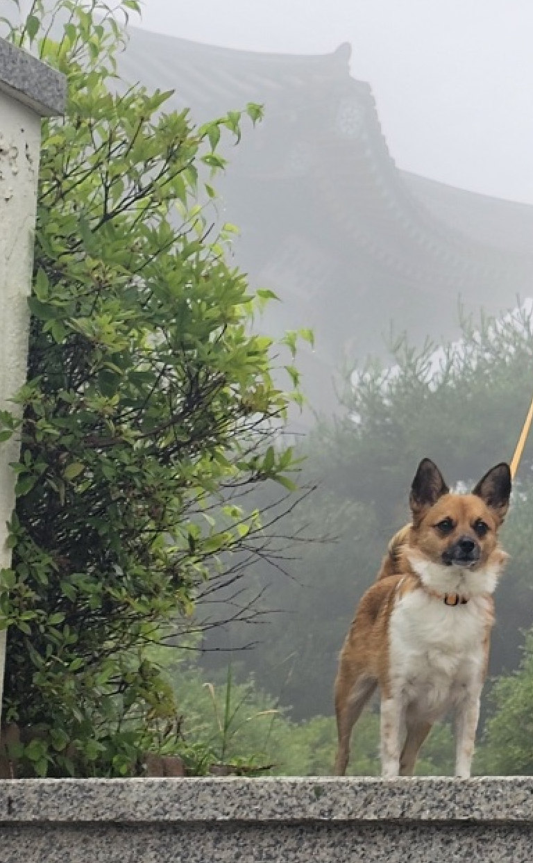 보나(은일이) 5주년