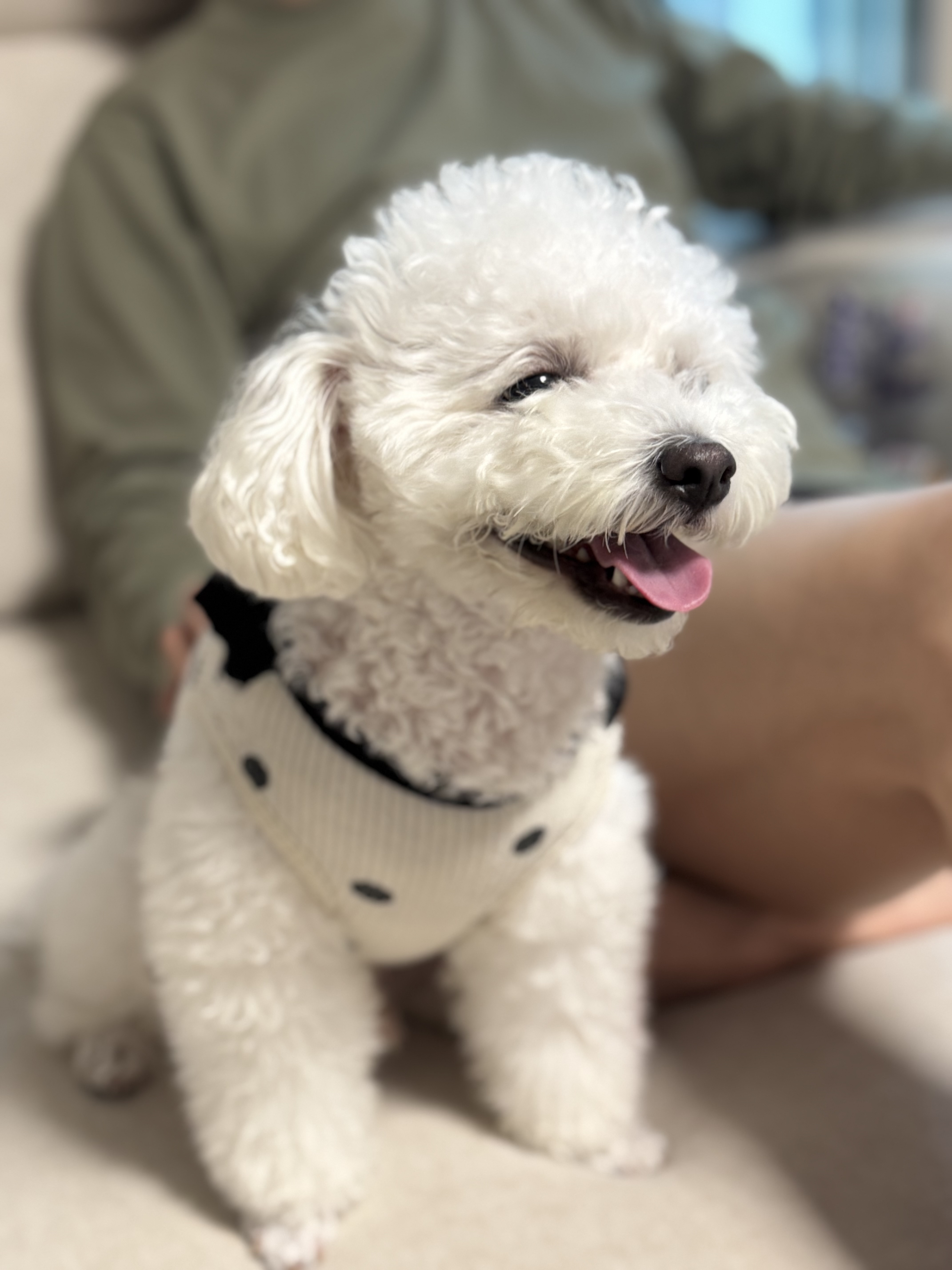 열무(구 아솜이)의 2년 3개월차 이야기