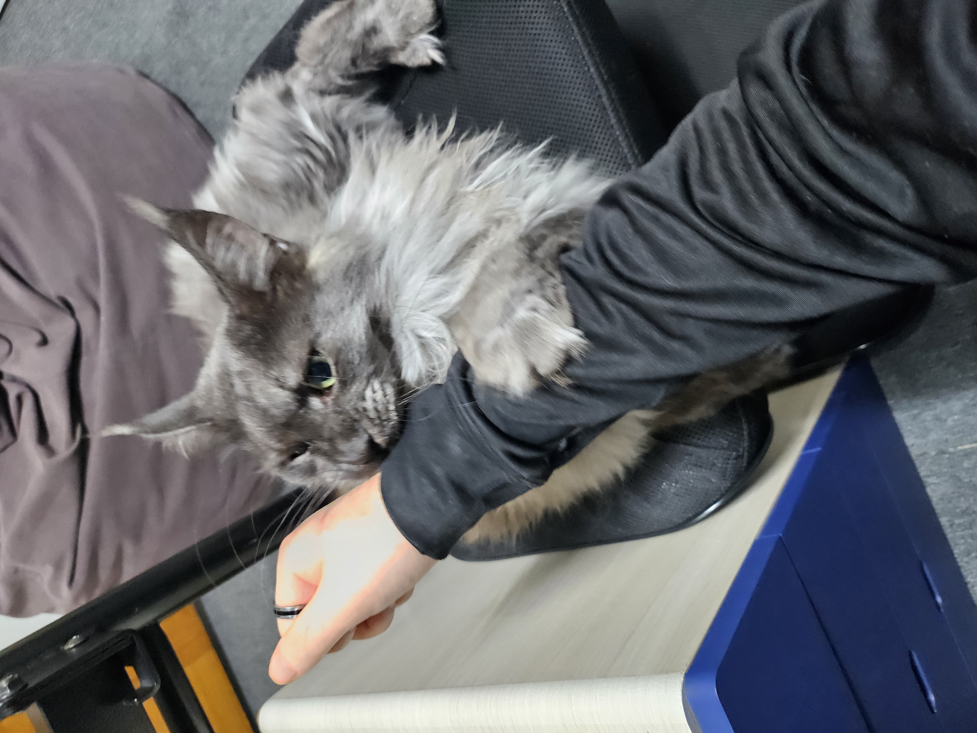 꾼 입양 3개월차!!