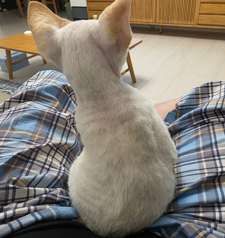 단하 3개월 간의 기록