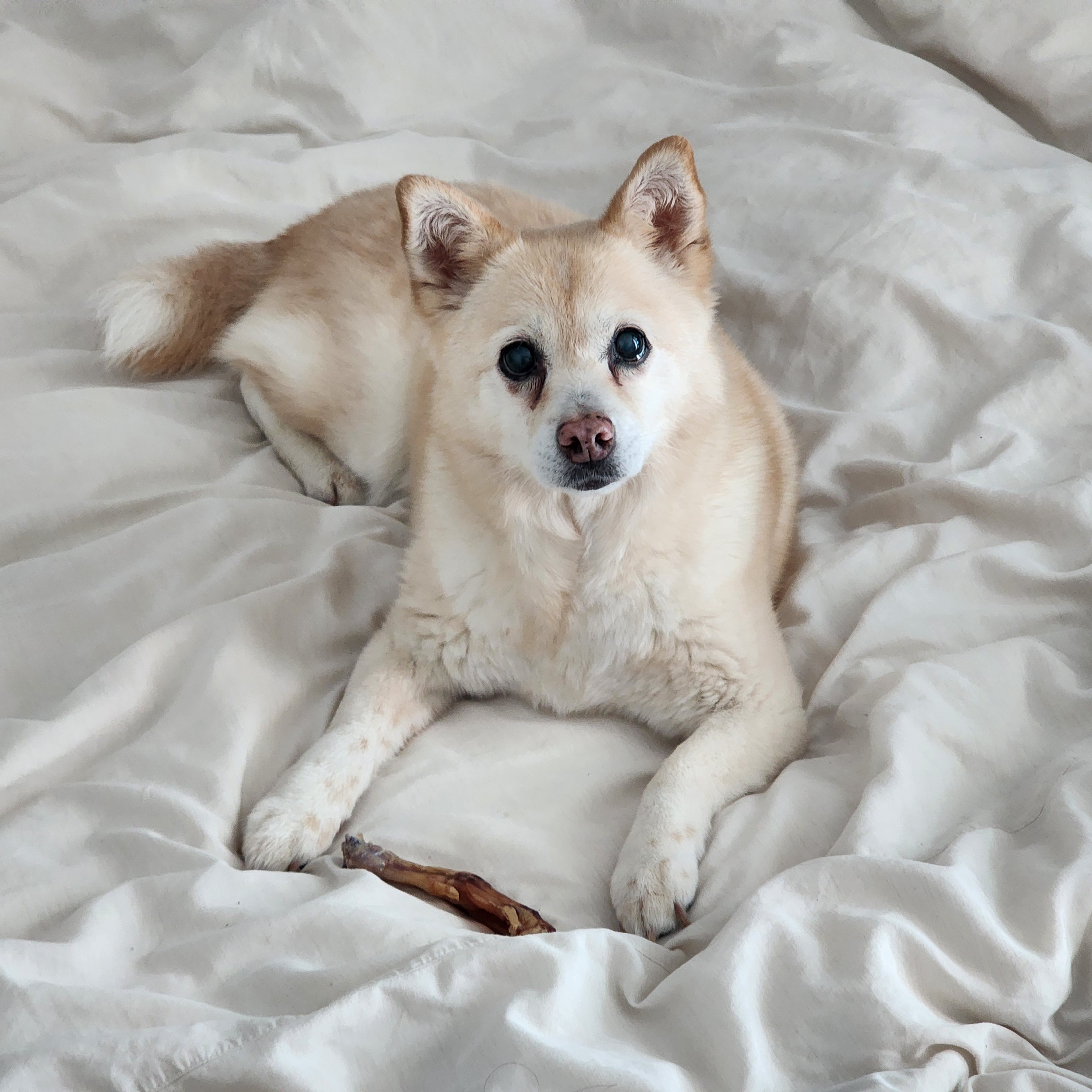 해피추석! 오랜만에 레이입니다:)