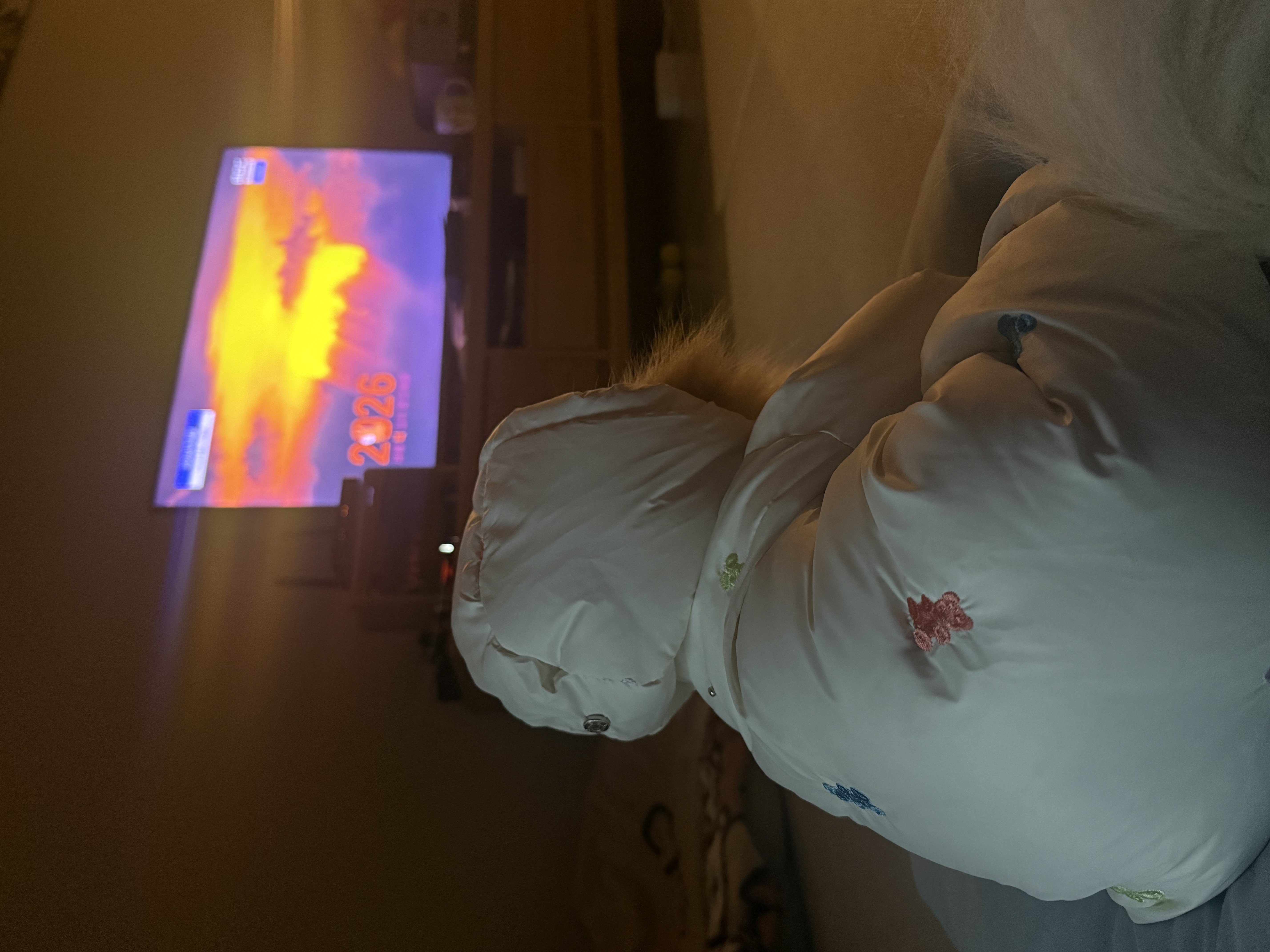 따봉(구 포키)이의 2025년