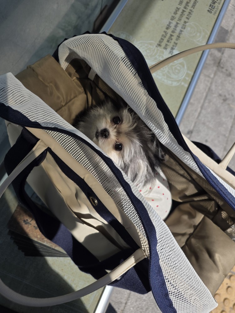 자반(구.소삼) 소식 올려요.