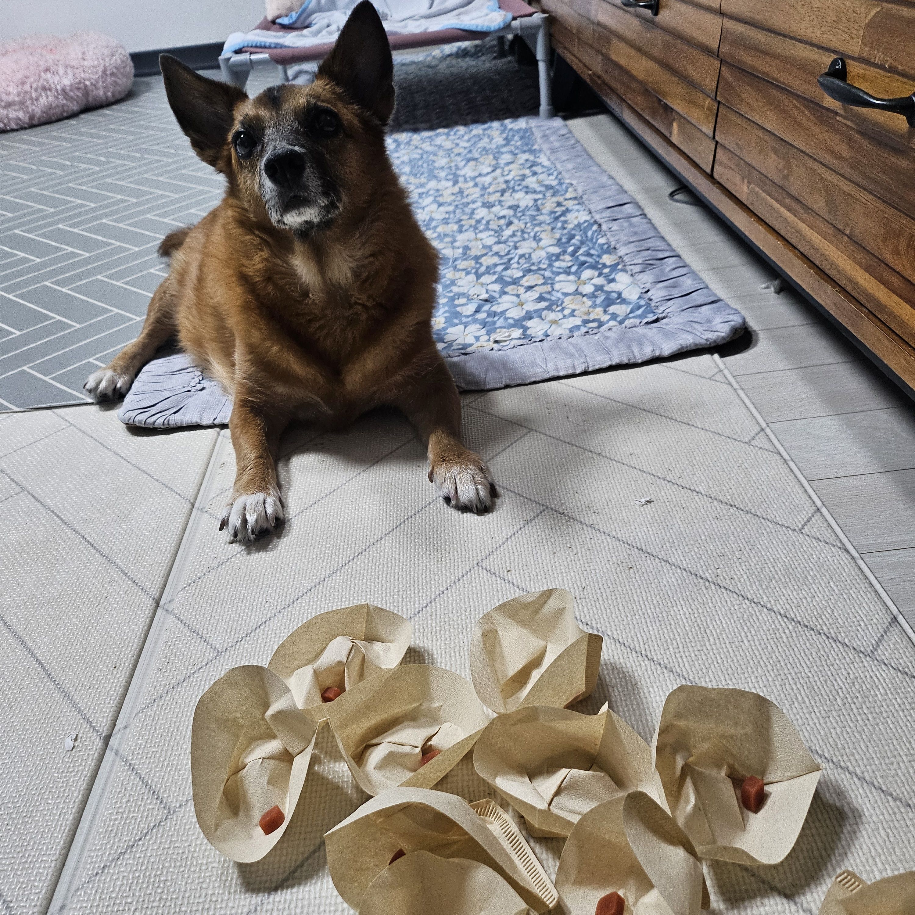 리카 새해인사드립니다.