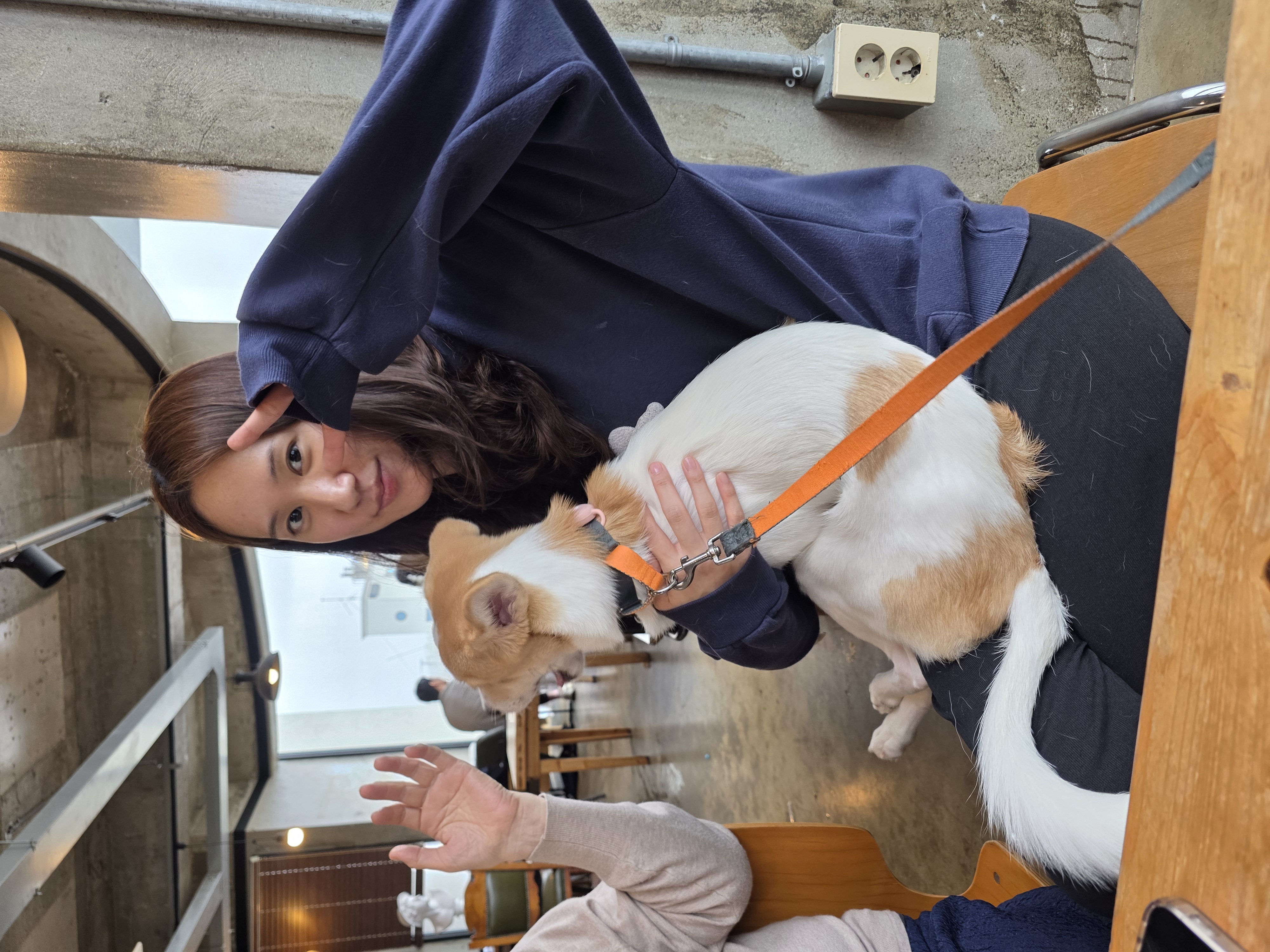 모디 3개월 추석이야기