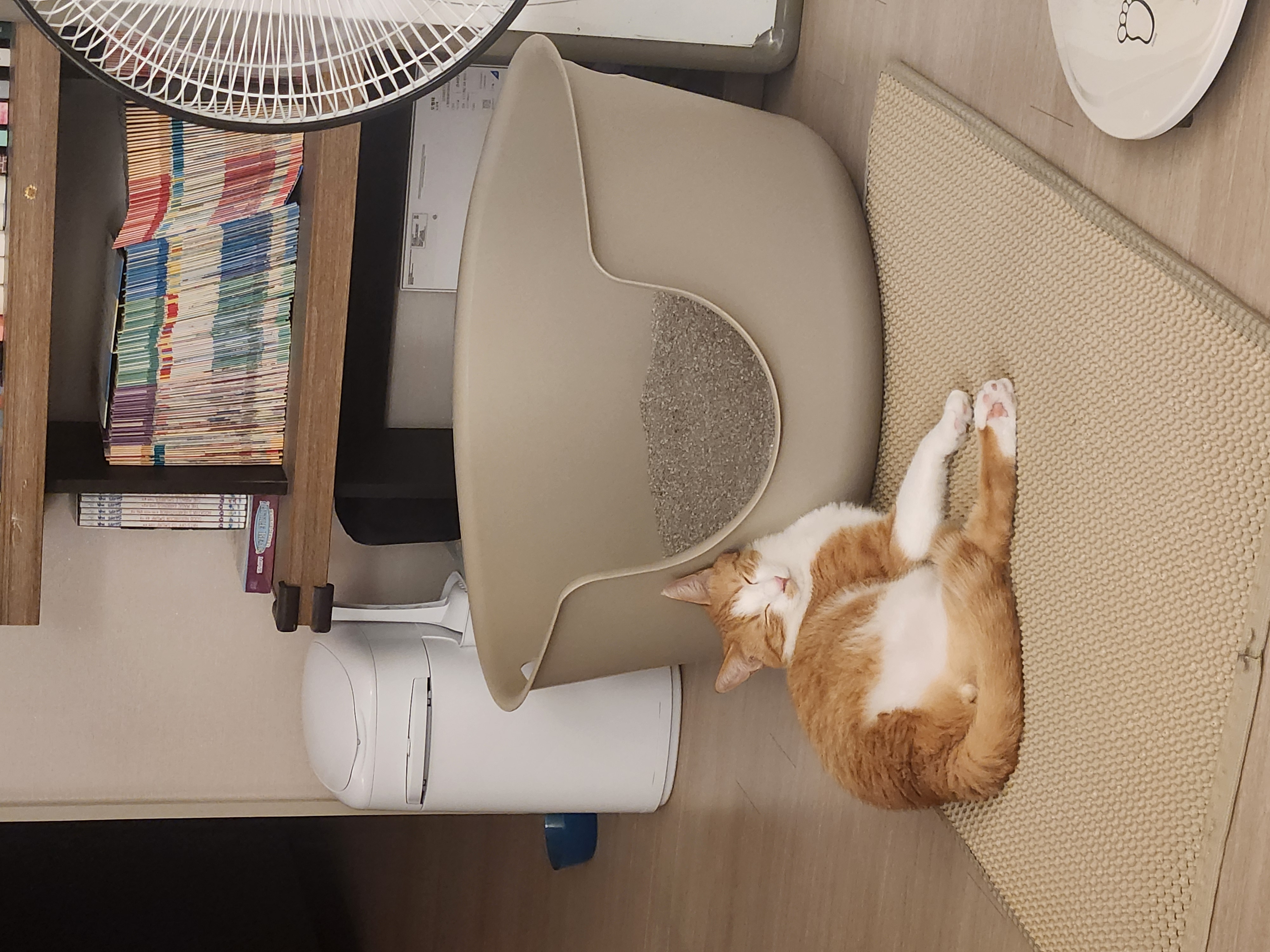 오들이와 함께한 3달 