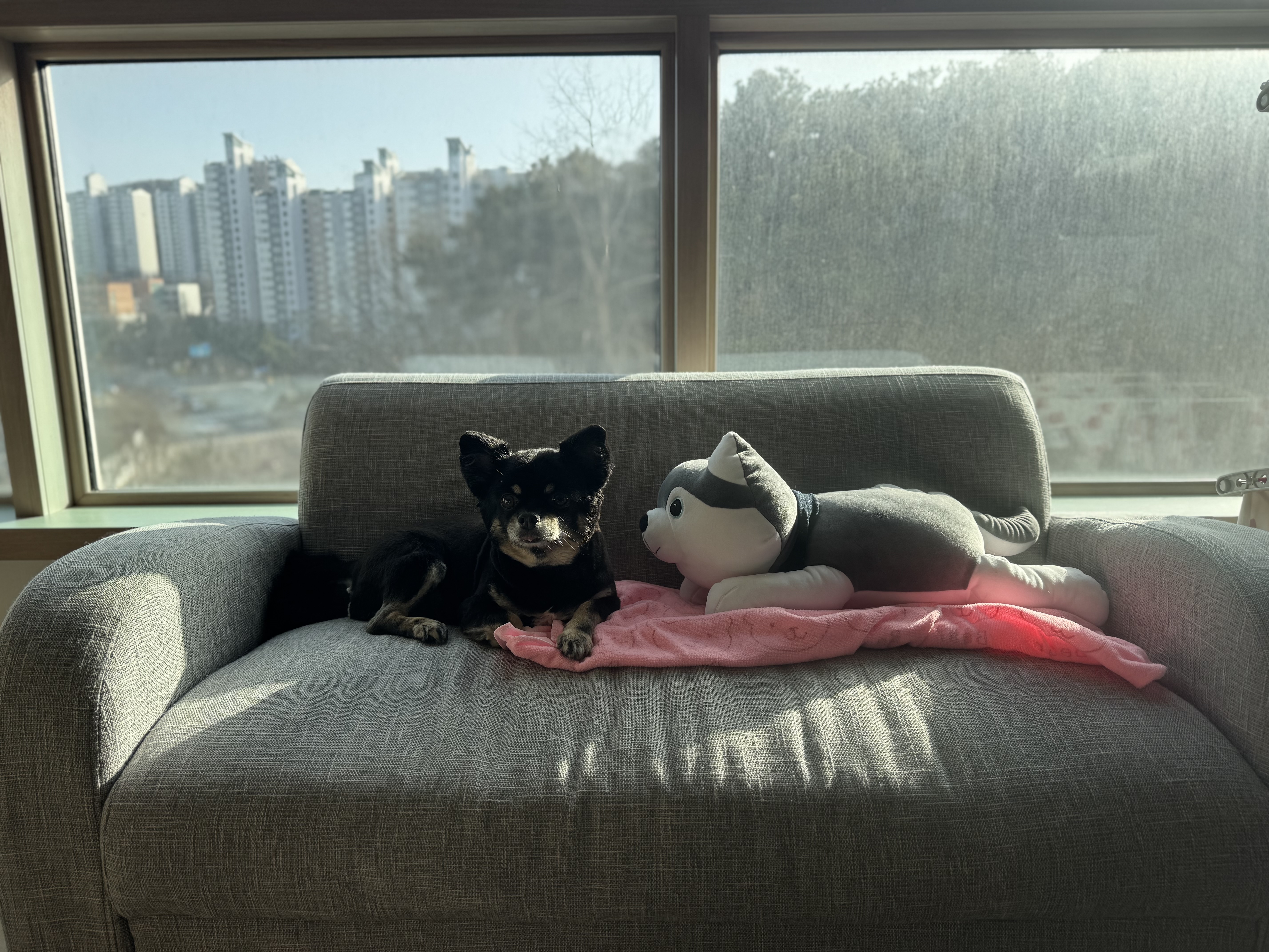 랩몬 소식 올려요~^^(임모7개월차)