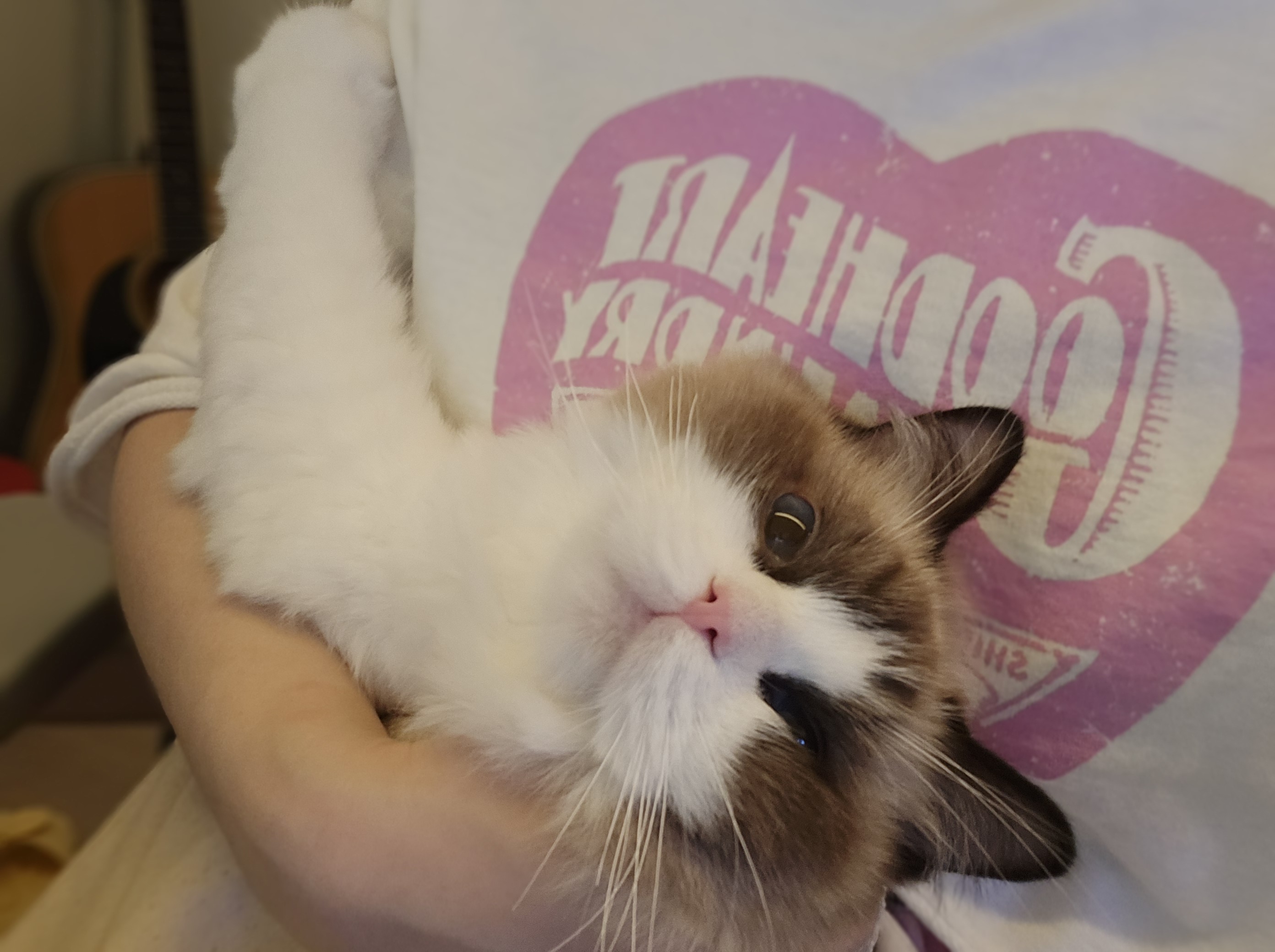 미야오(마시) 동자연에 활동가분들과 동물친구들 메리크리스마스♡