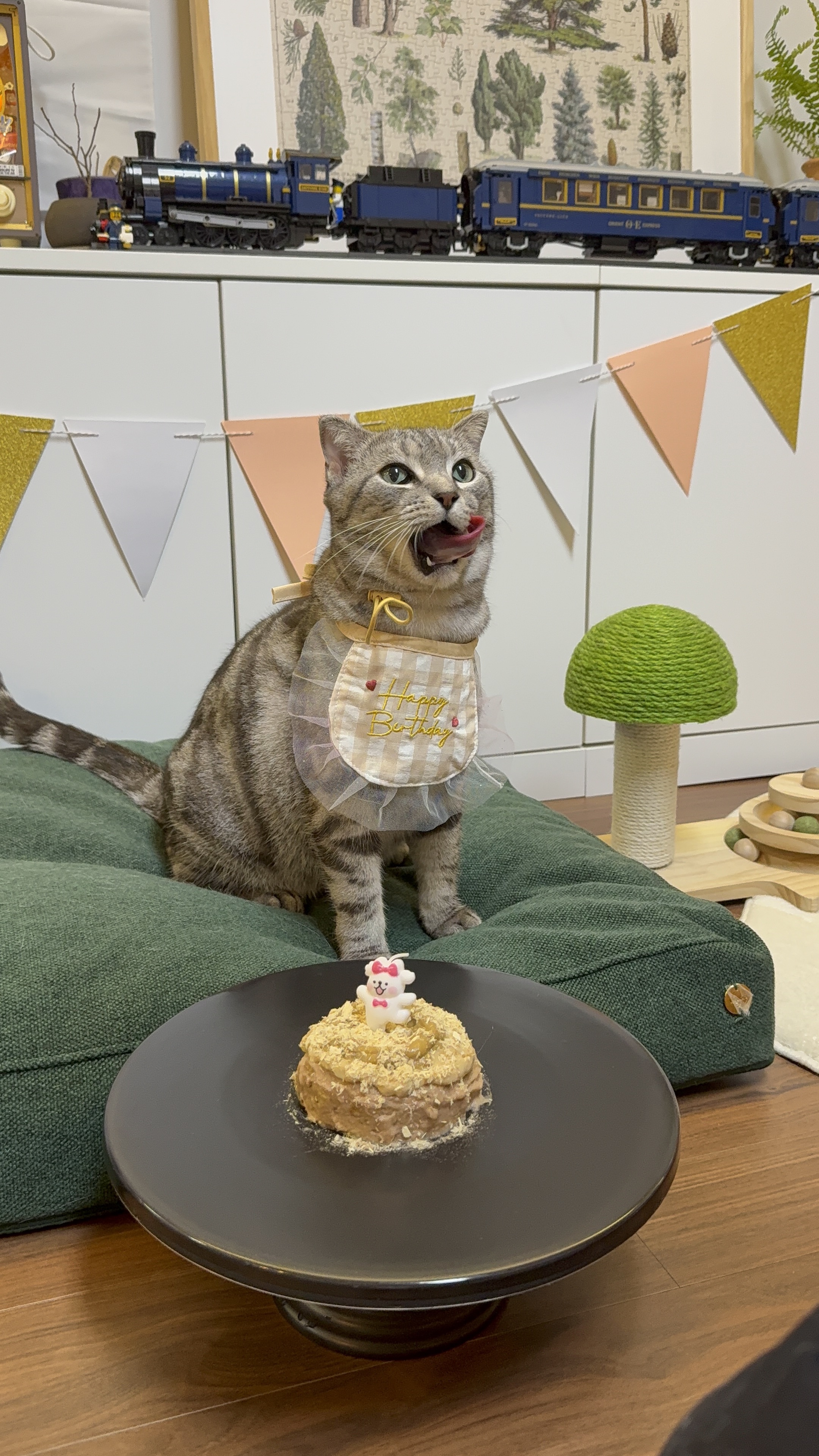소호(아메) 2주년 소식