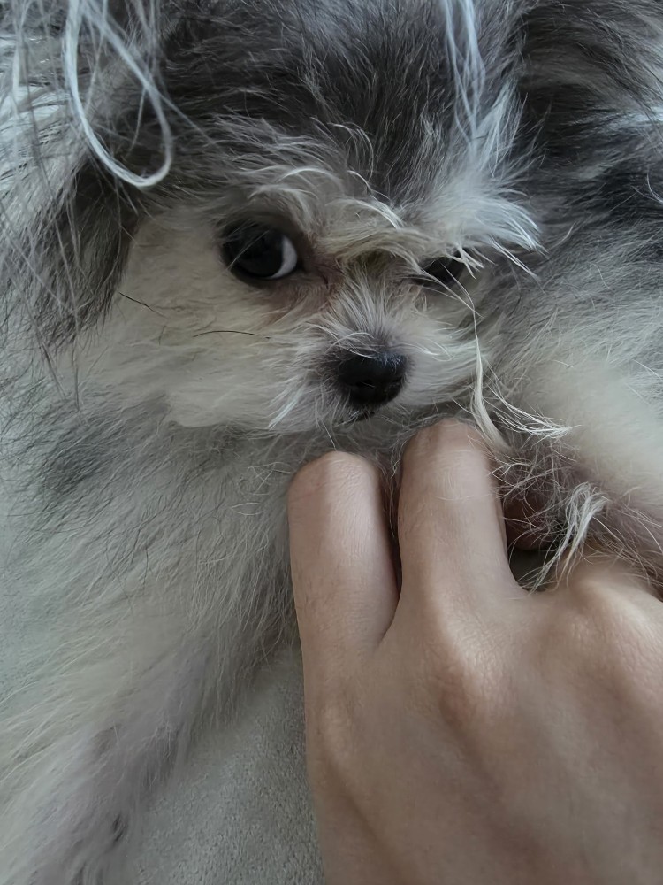 자반(구.소삼) 소식 올려요.