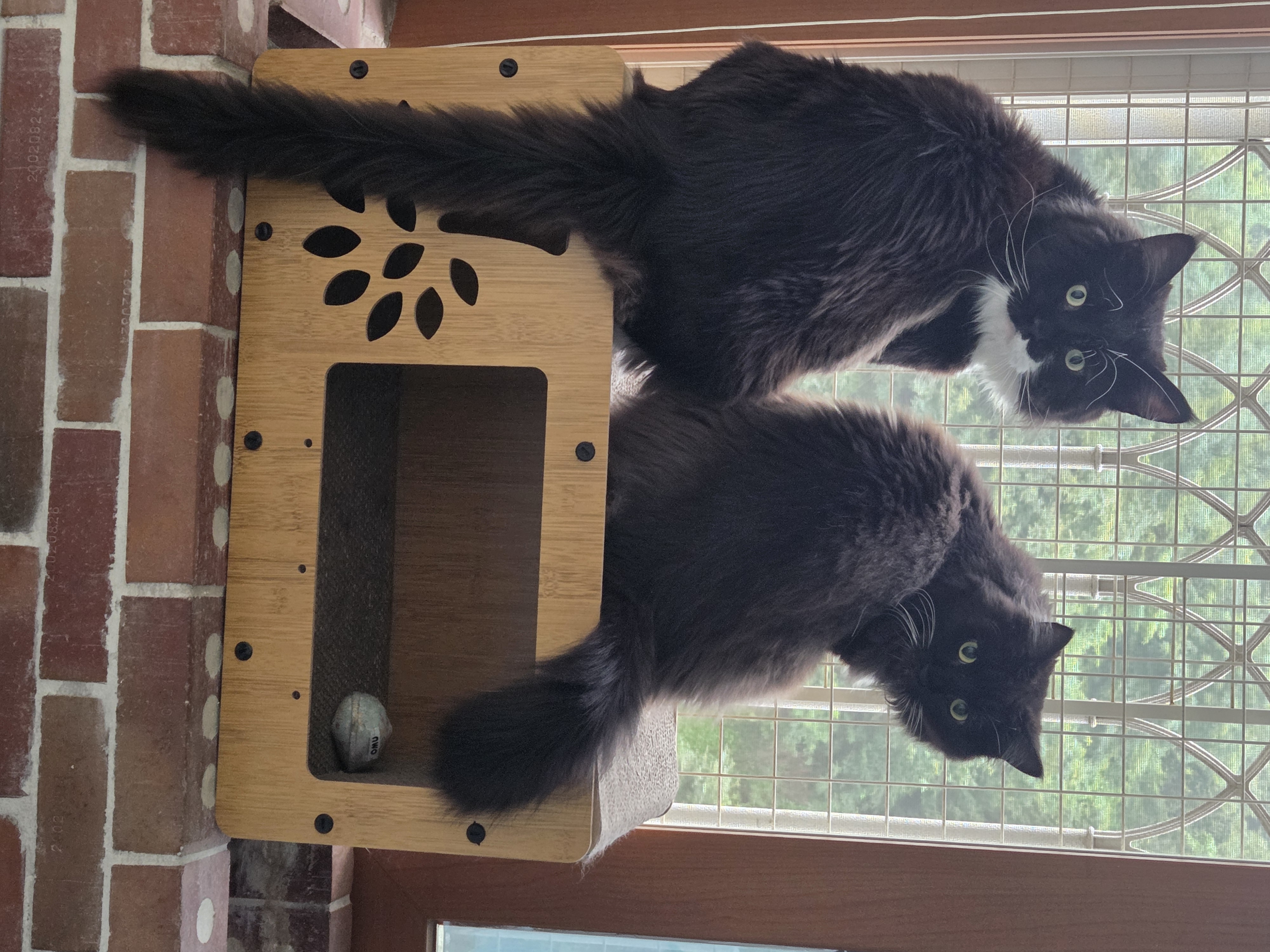 산이(인쿤이)와의 1년