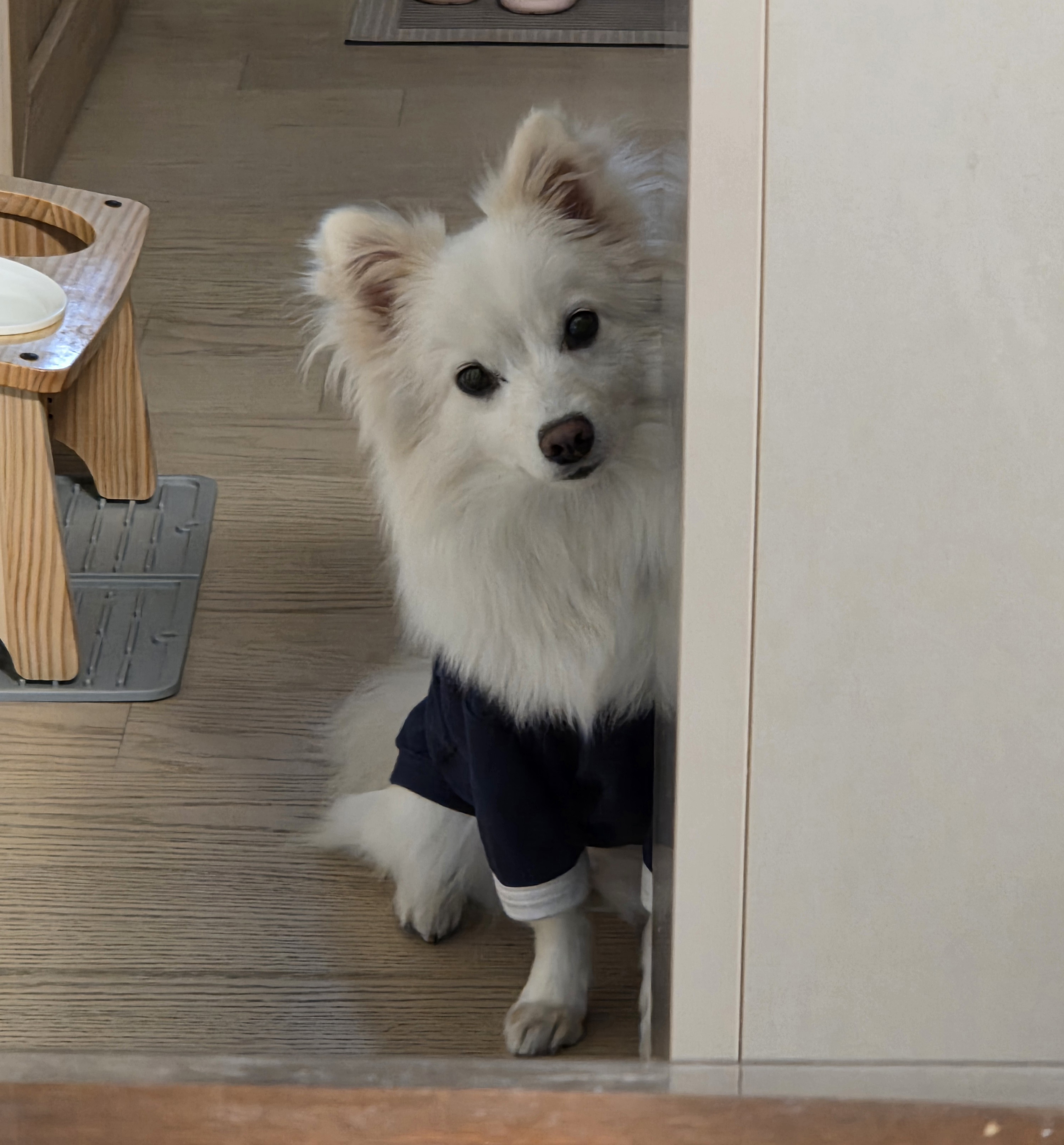 다람이+리유=🤍