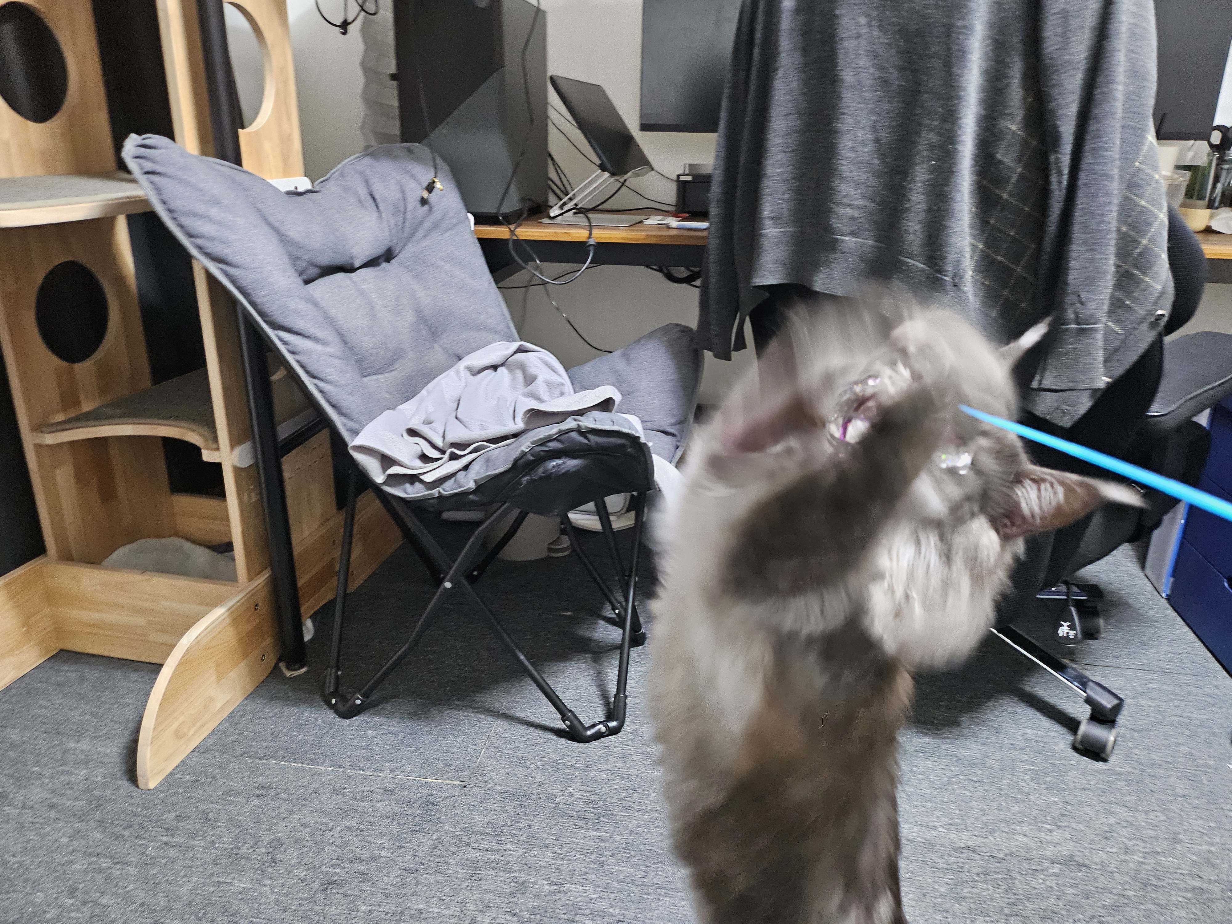 꾼 입양 3개월차!!