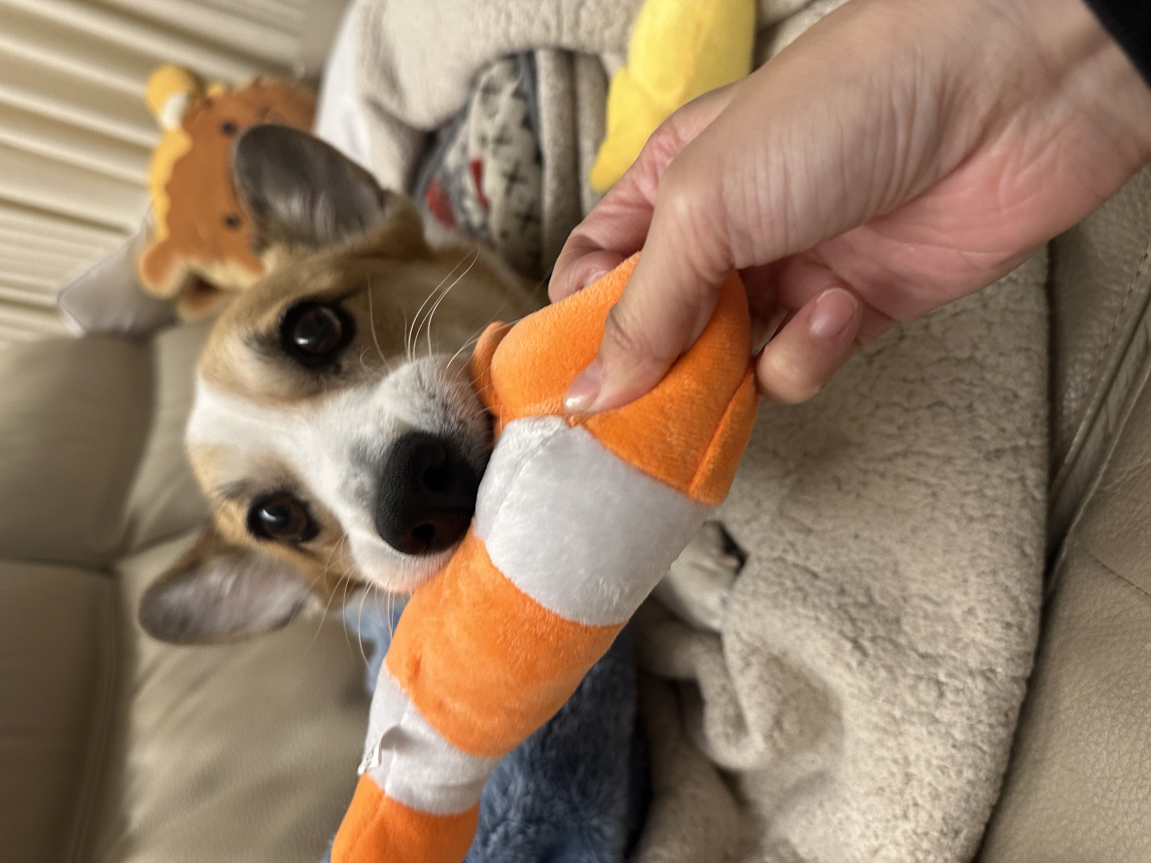 무티(구.수코) 2년차 근황