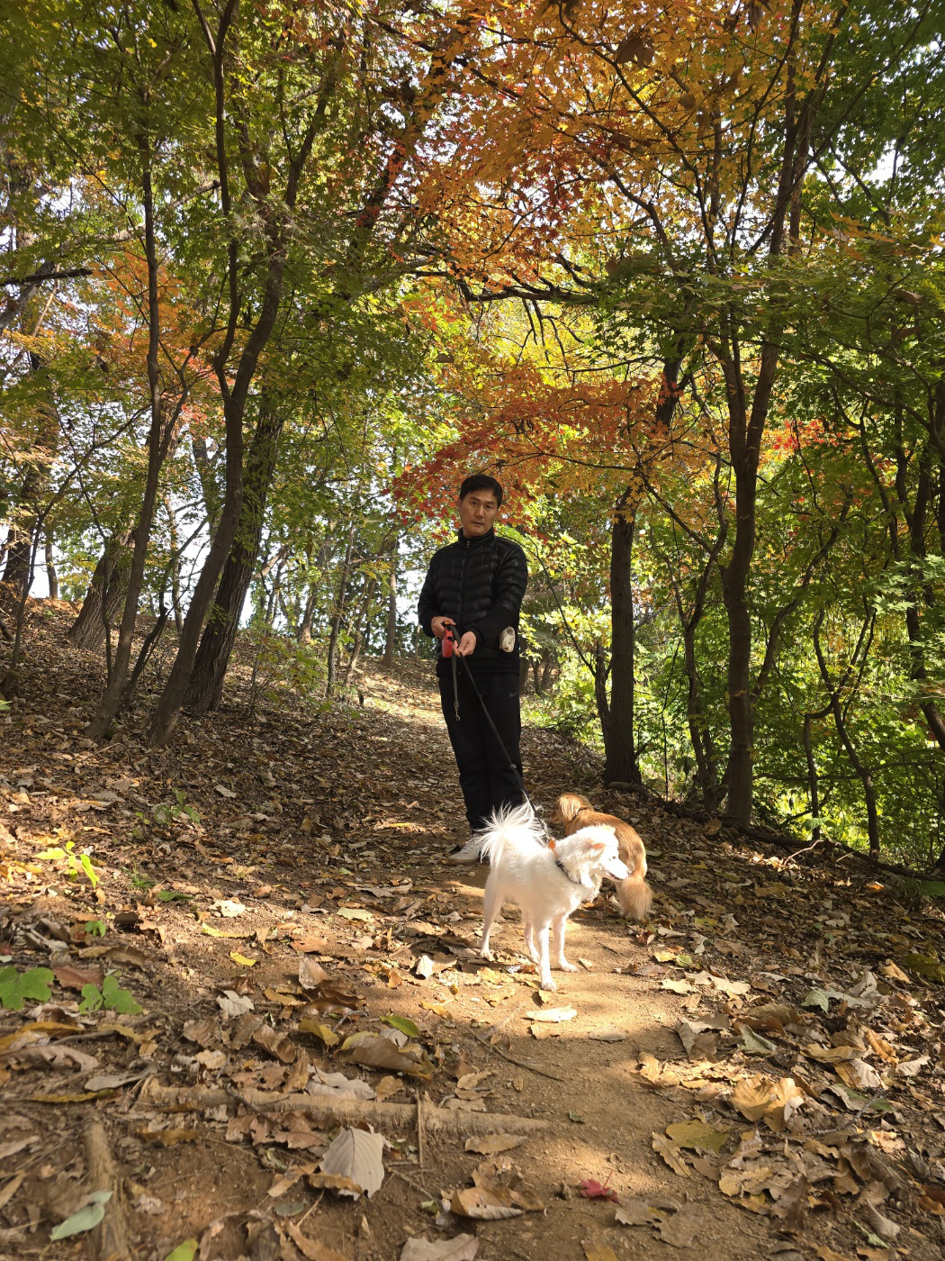 리코, 담비(구.샛별이) 소식 올려요