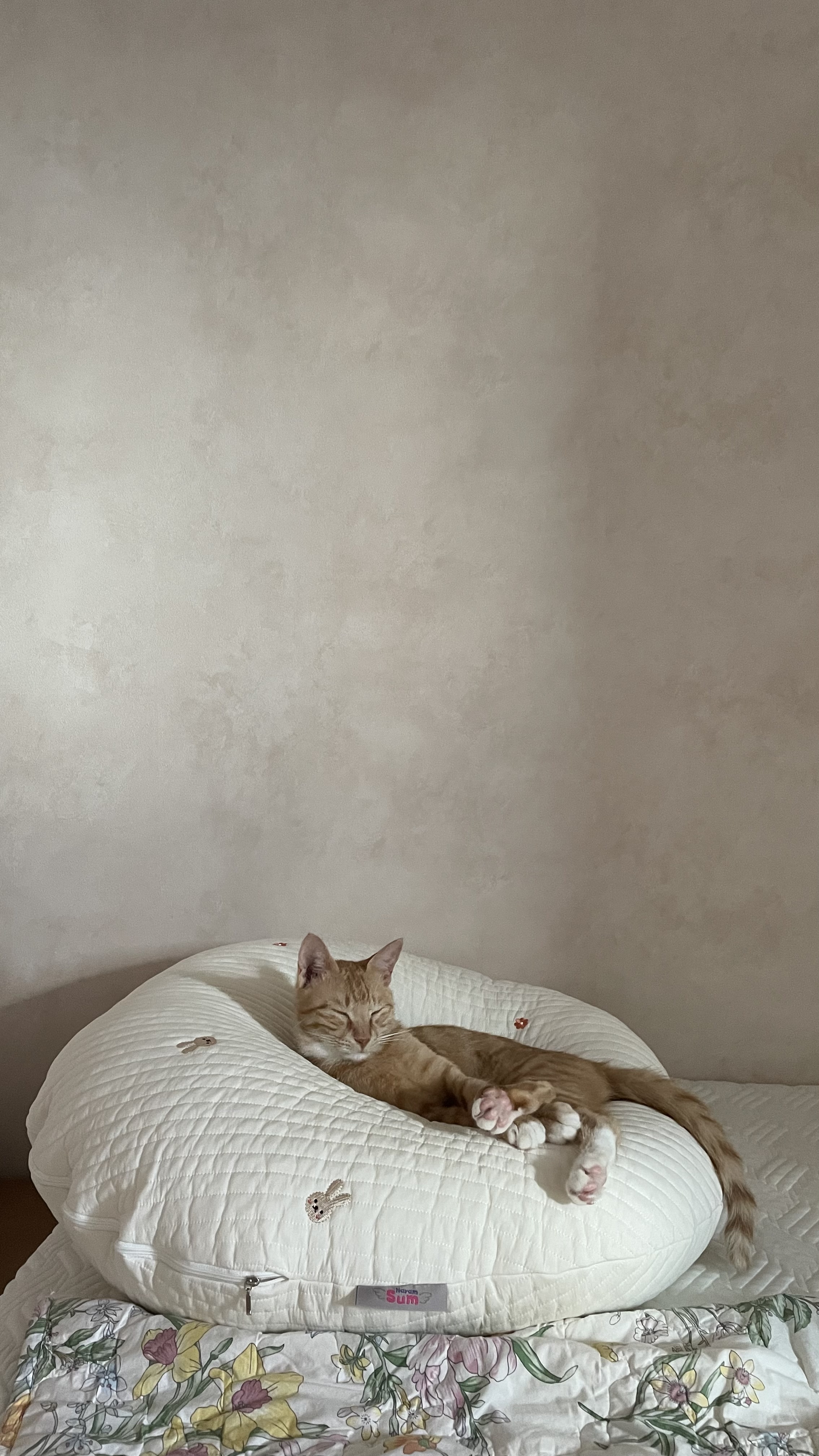 금비(다해) 일주일 후기