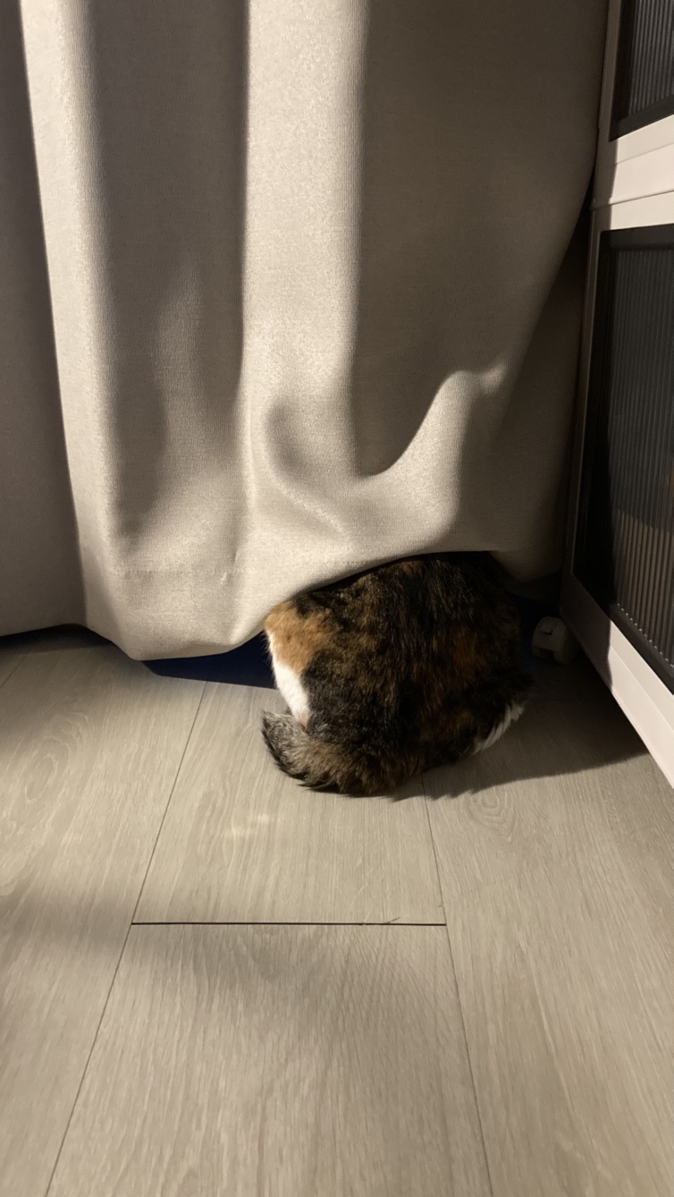 티니와 3년